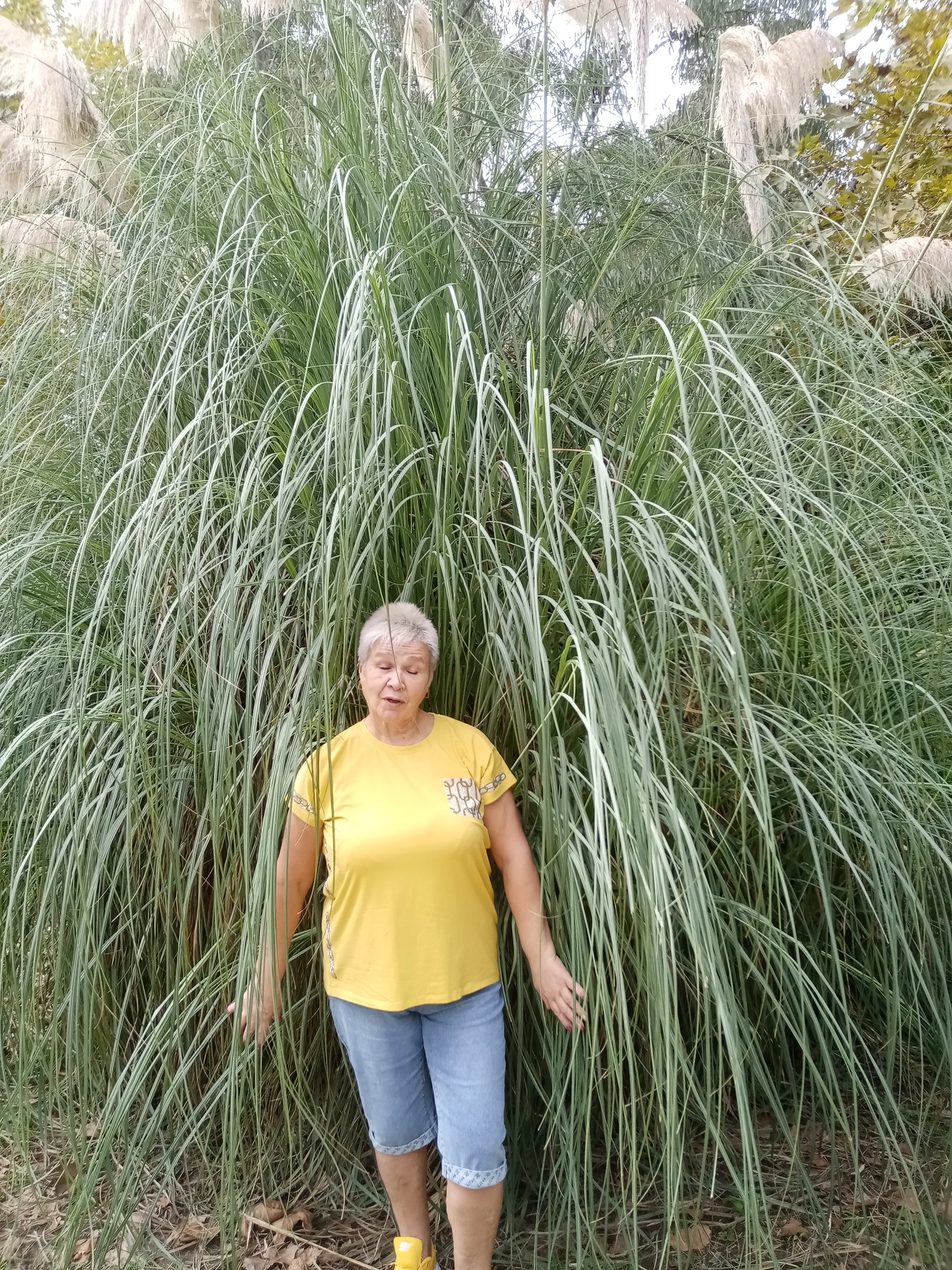 Фото Видный