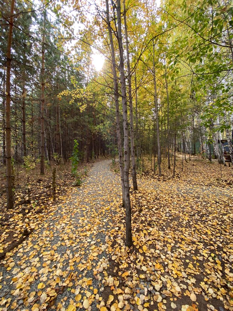 Фото Изумрудная поляна дачи
