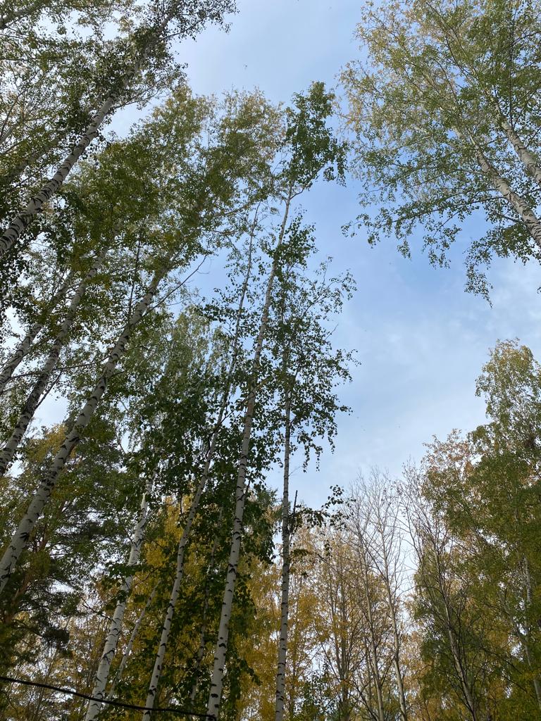 Фото Изумрудная поляна дачи