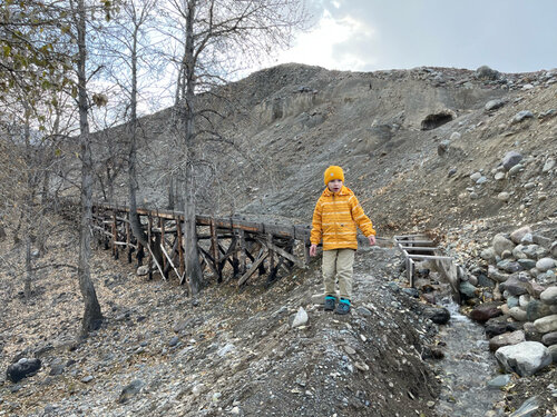 Интернетте эротикалық домино ойнаңыз