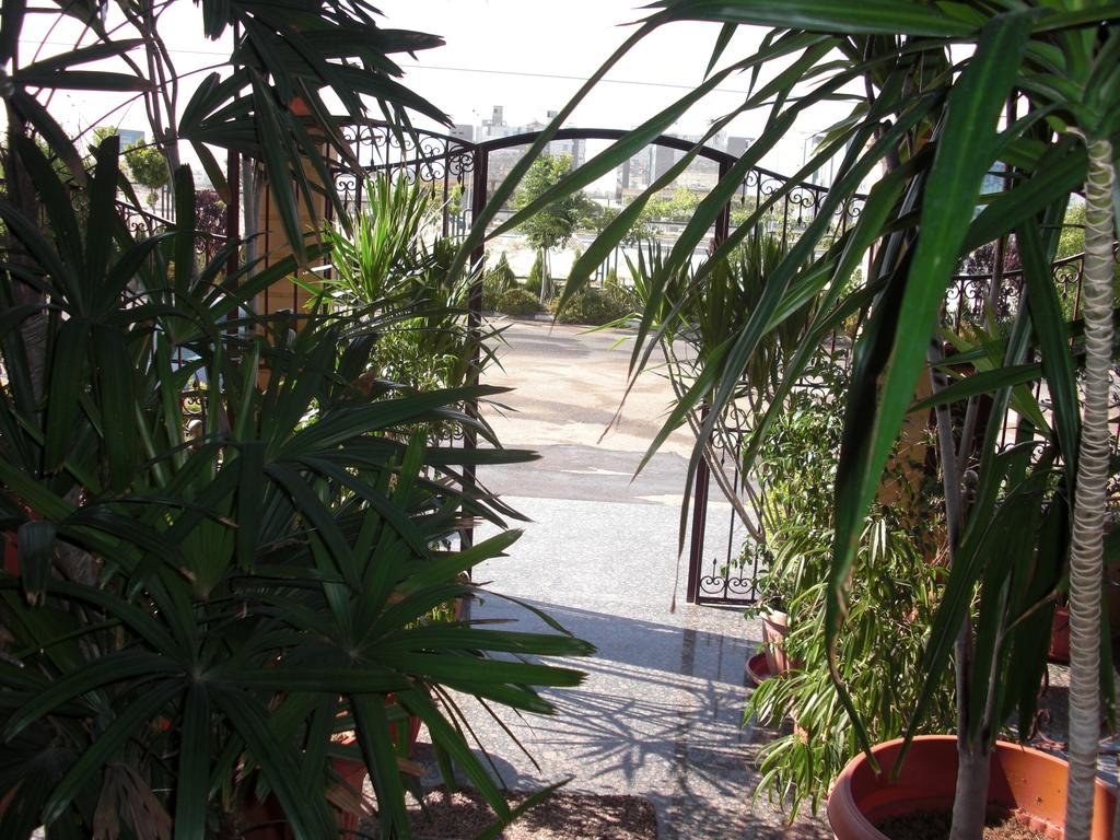 Фото Cairo plaza Guest House