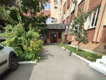 Filial federalnogo gosudarstvennogo byudzhetnogo uchrezhdeniya Roslesinforg Voronezhlesproyekt (Moskovskiy Avenue, 64), forest management, reforestation