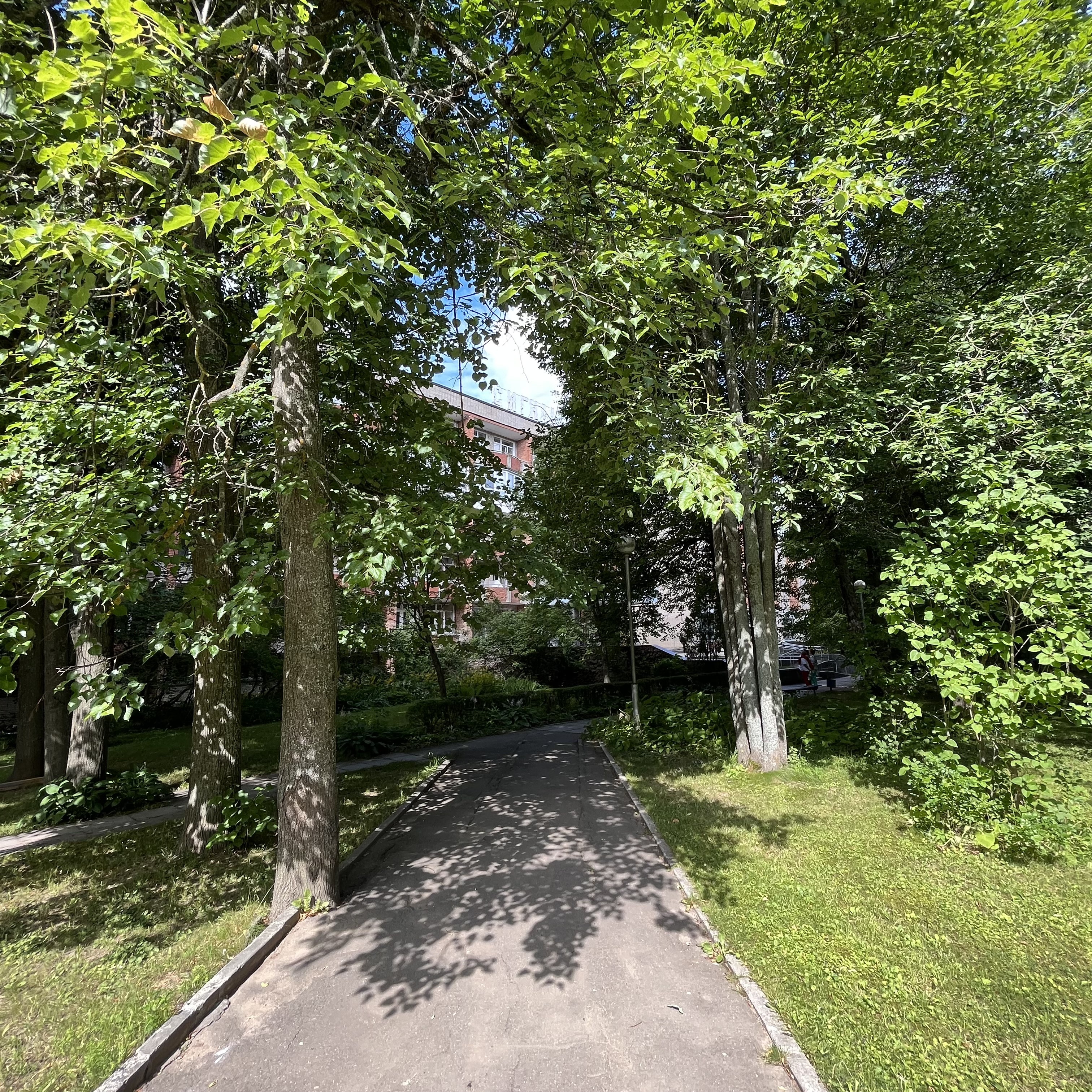 Фото Код здоровья