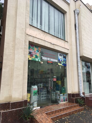 Yoshlar ochiq havoda porno video