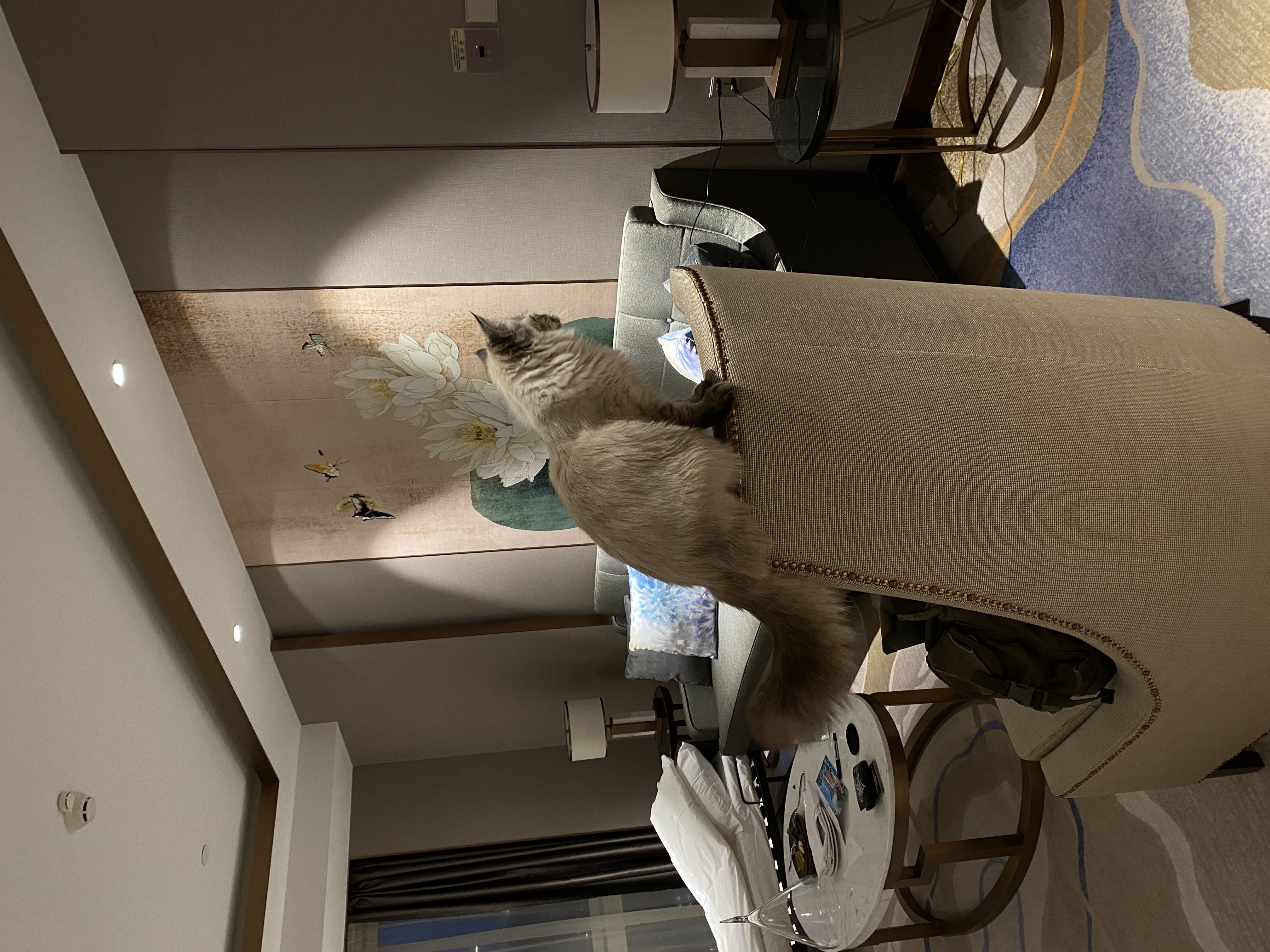 Фото Soluxe Hotel Moscow