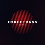 Forcetrans (Kubinskaya Street, 75к1Г), warehouse services