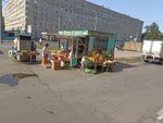 Магазин фруктов и овощей (Politekhnicheskaya Street, 17к1), greengrocery