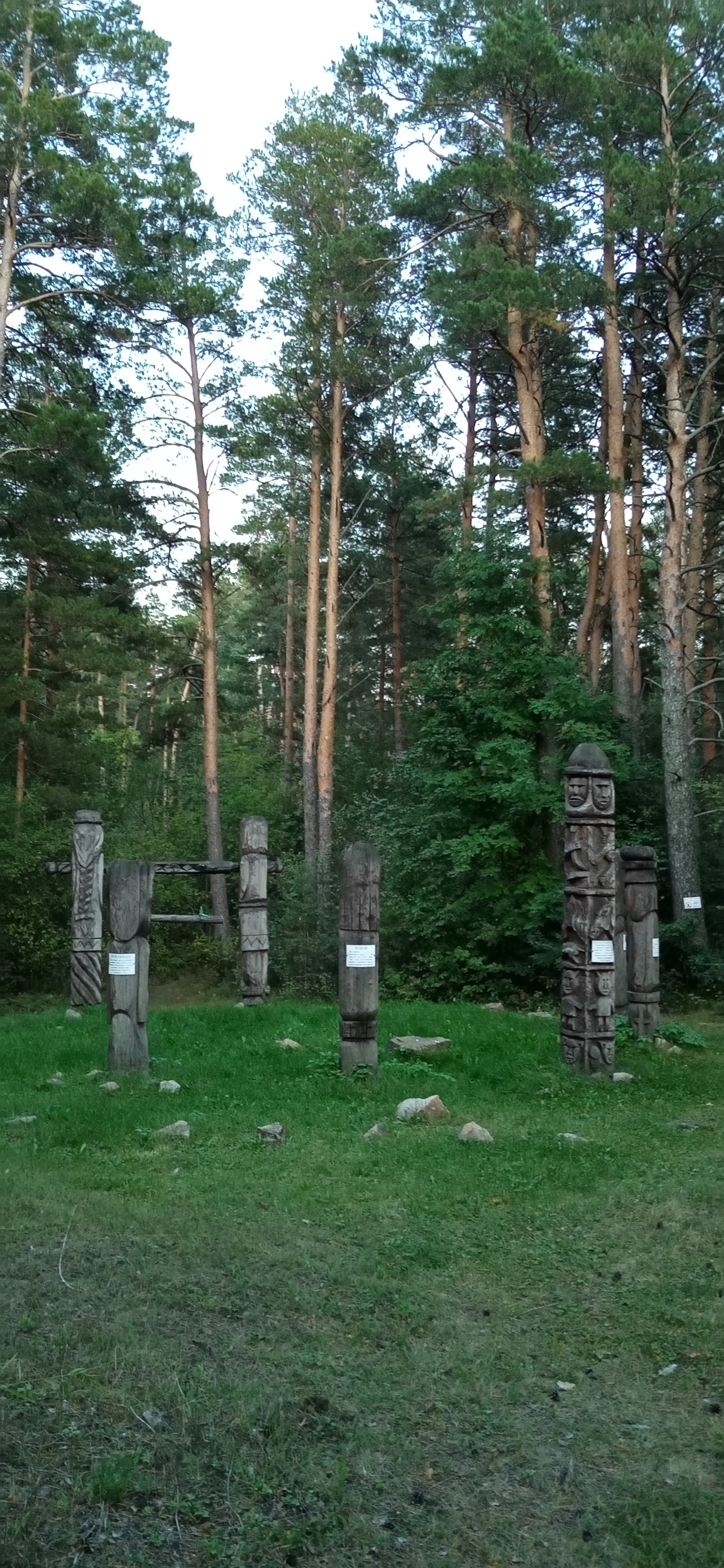 Фото Рассветы над Бией