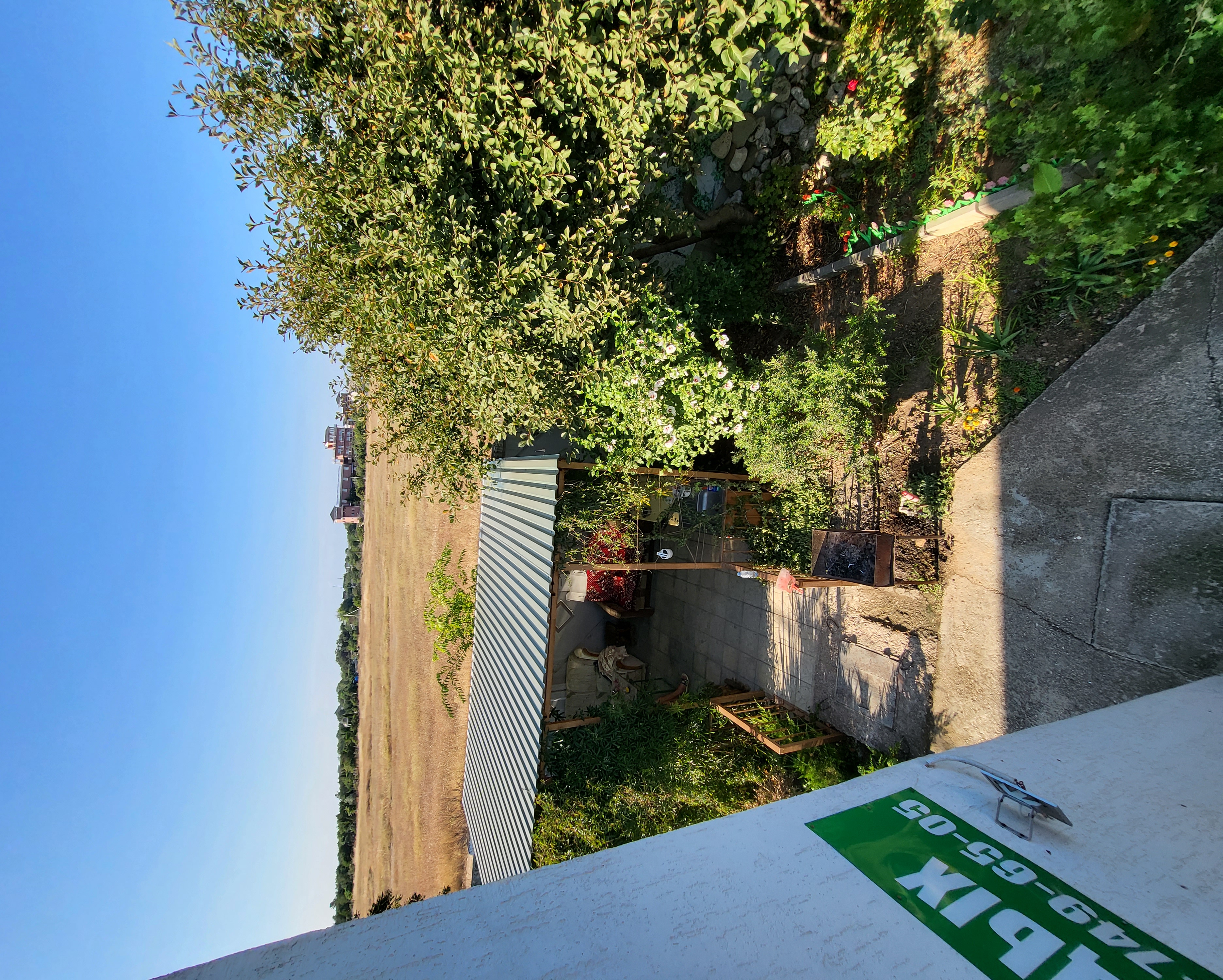 Фото Романтик-2