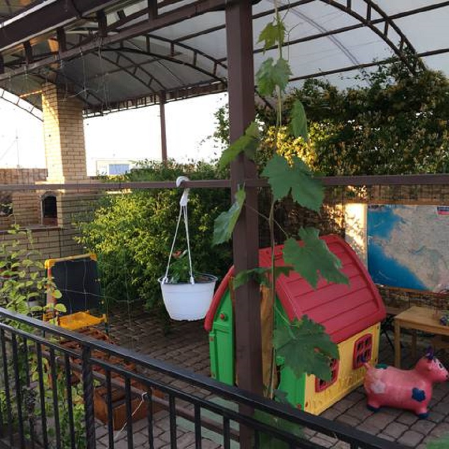 Фото Сафари