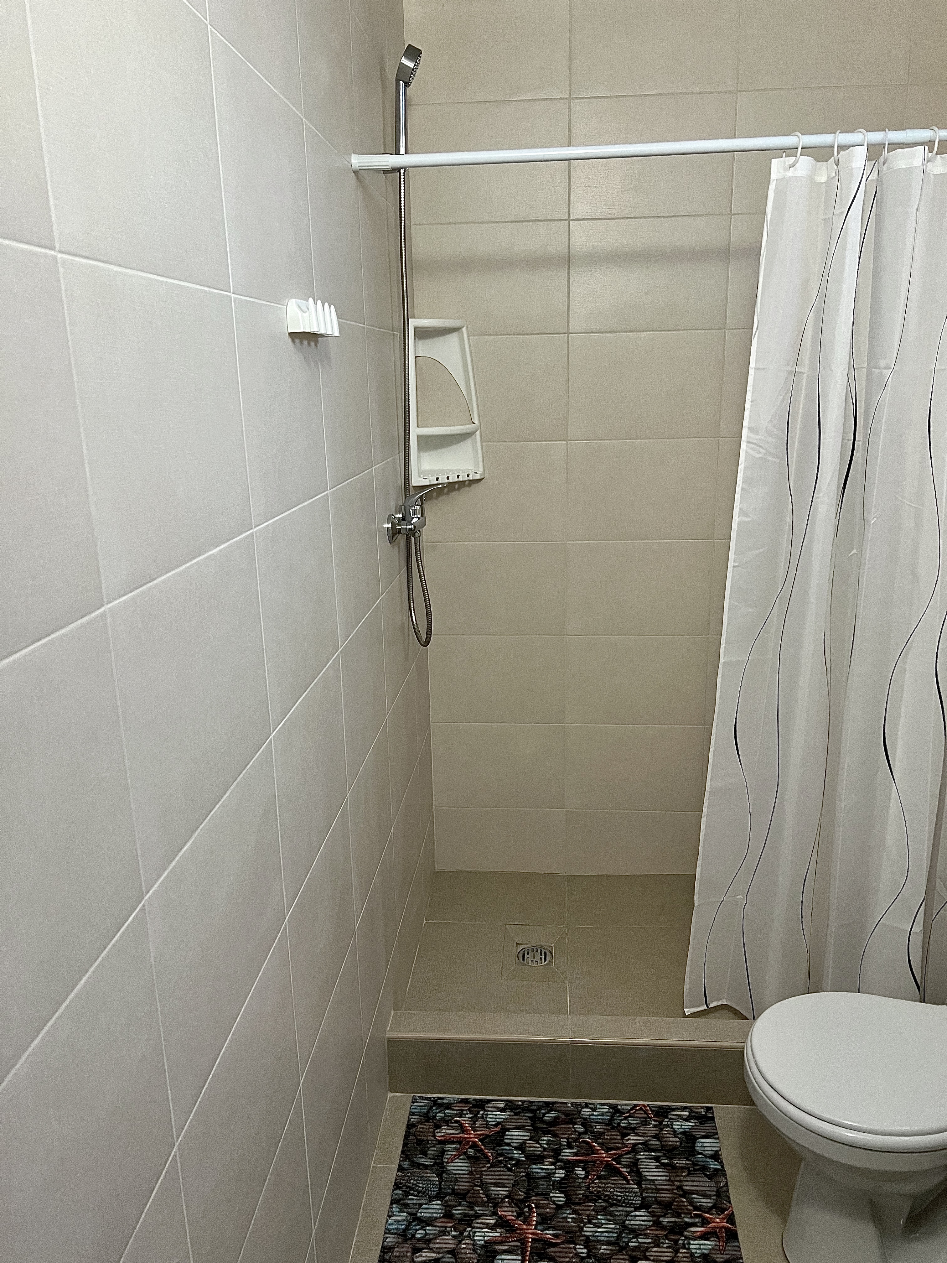 Фото Белая берёза