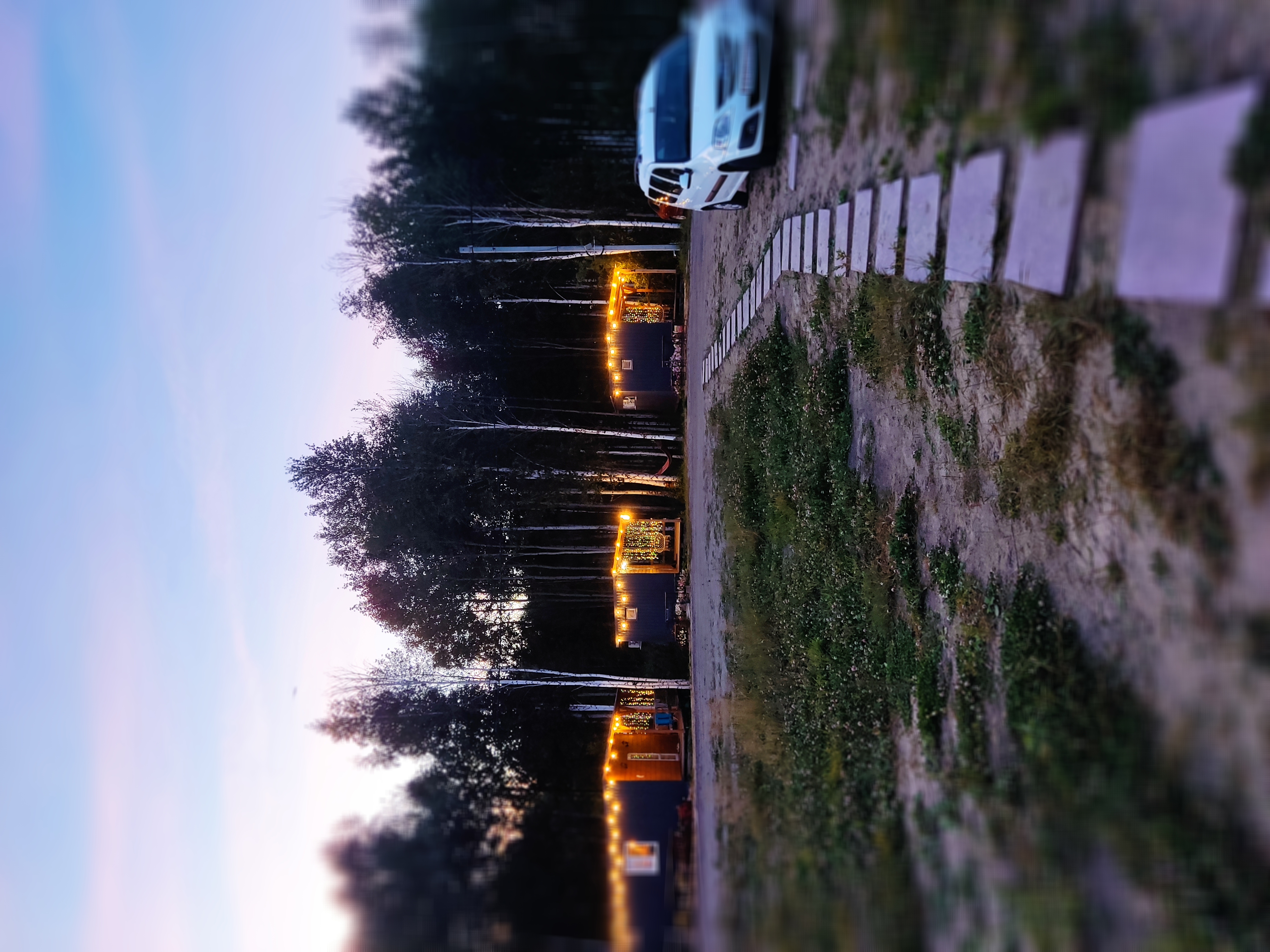 Фото База отдыха Шелест