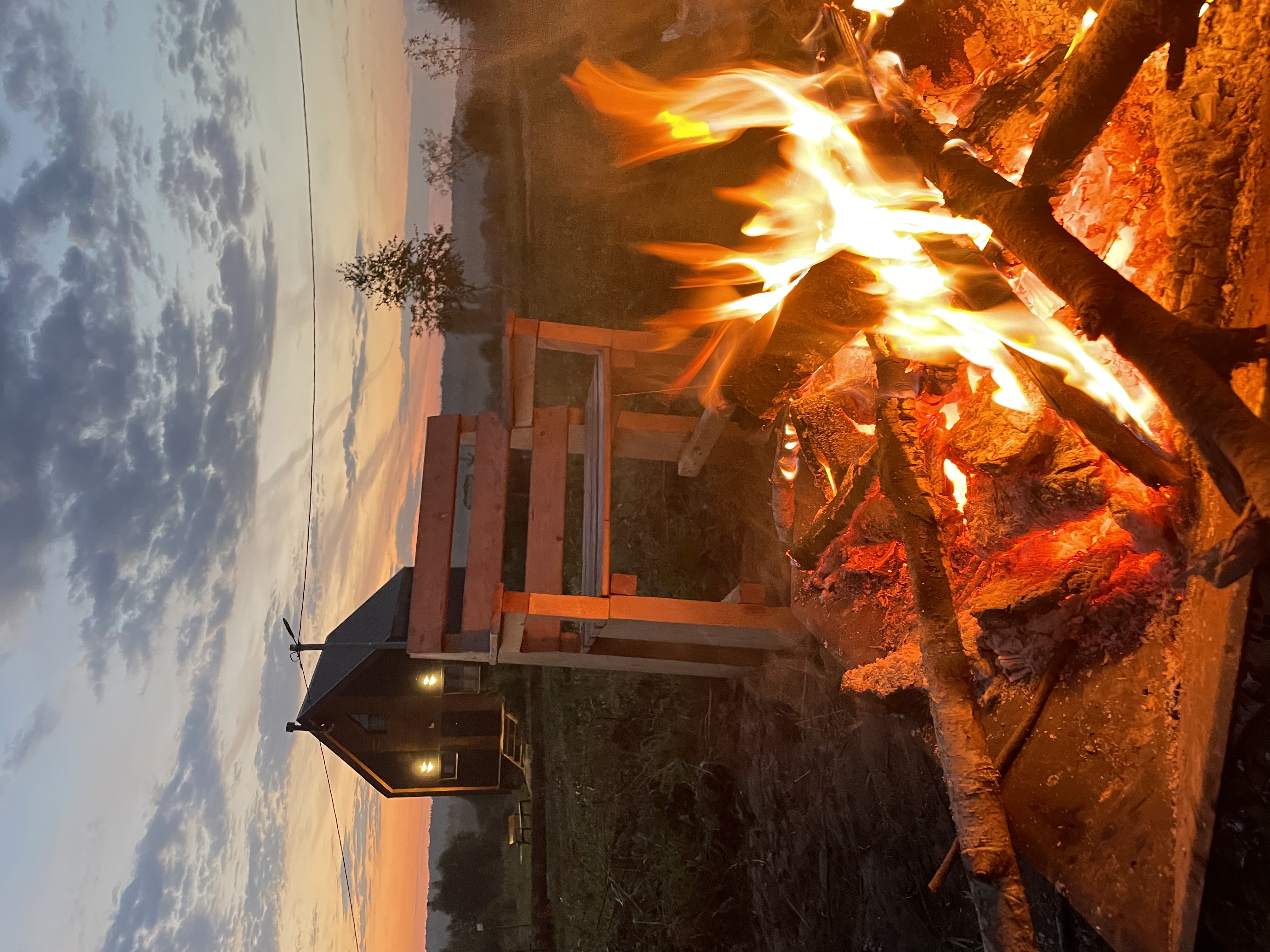 Фото Лаванда