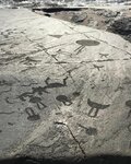 Onega petroglyphs, excursions