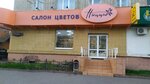 Nitstsa (Plekhanova Street, 35) ، محل زهور