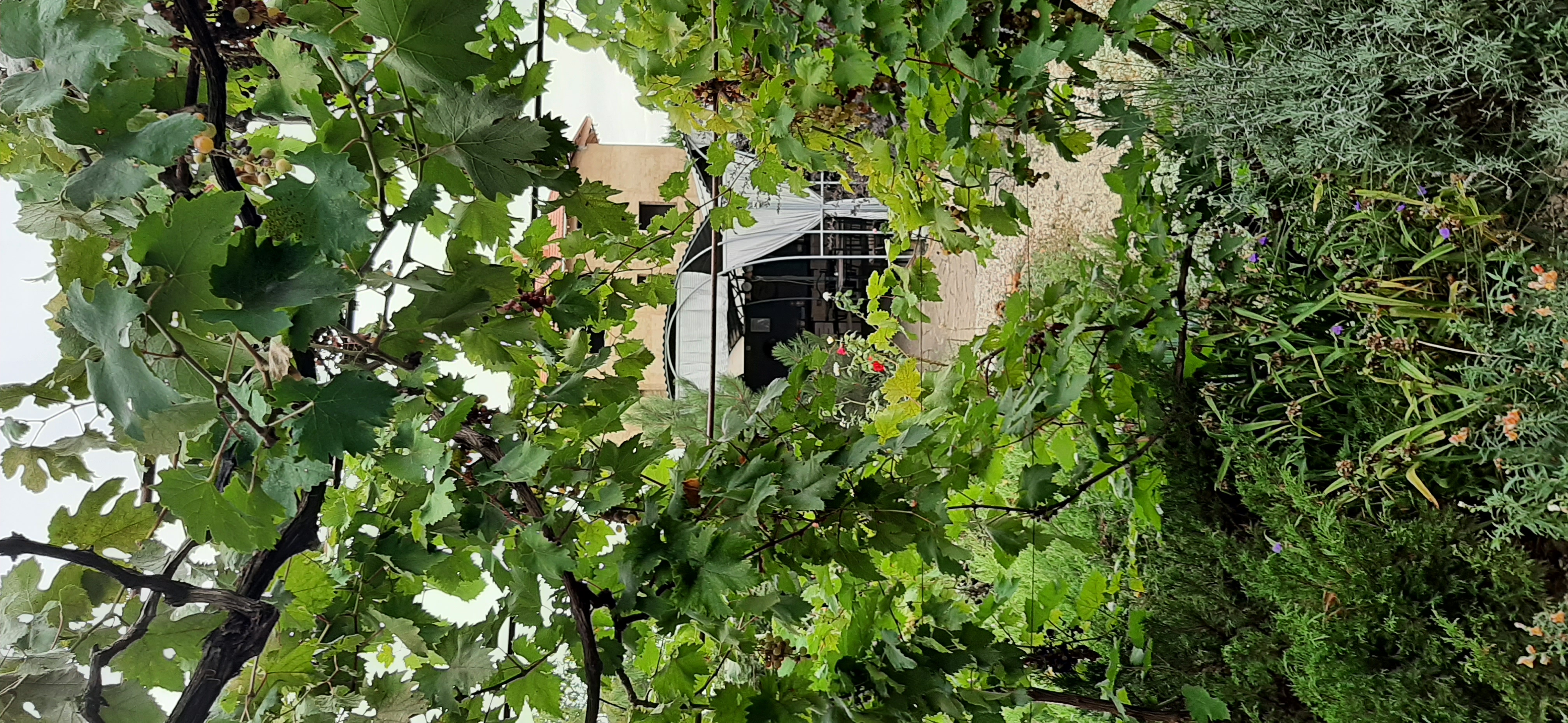 Фото Бумеранг