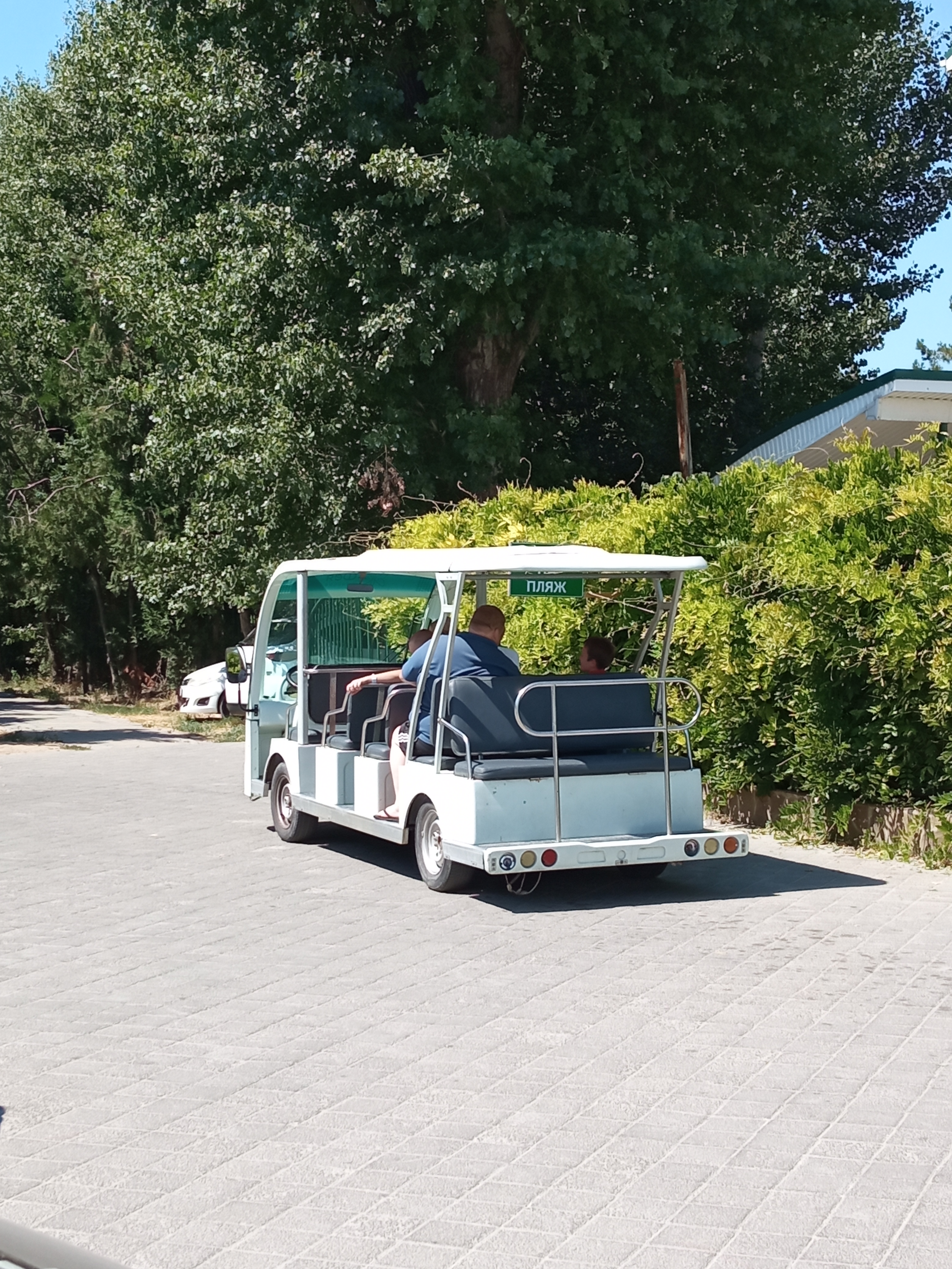 Фото Леонардо