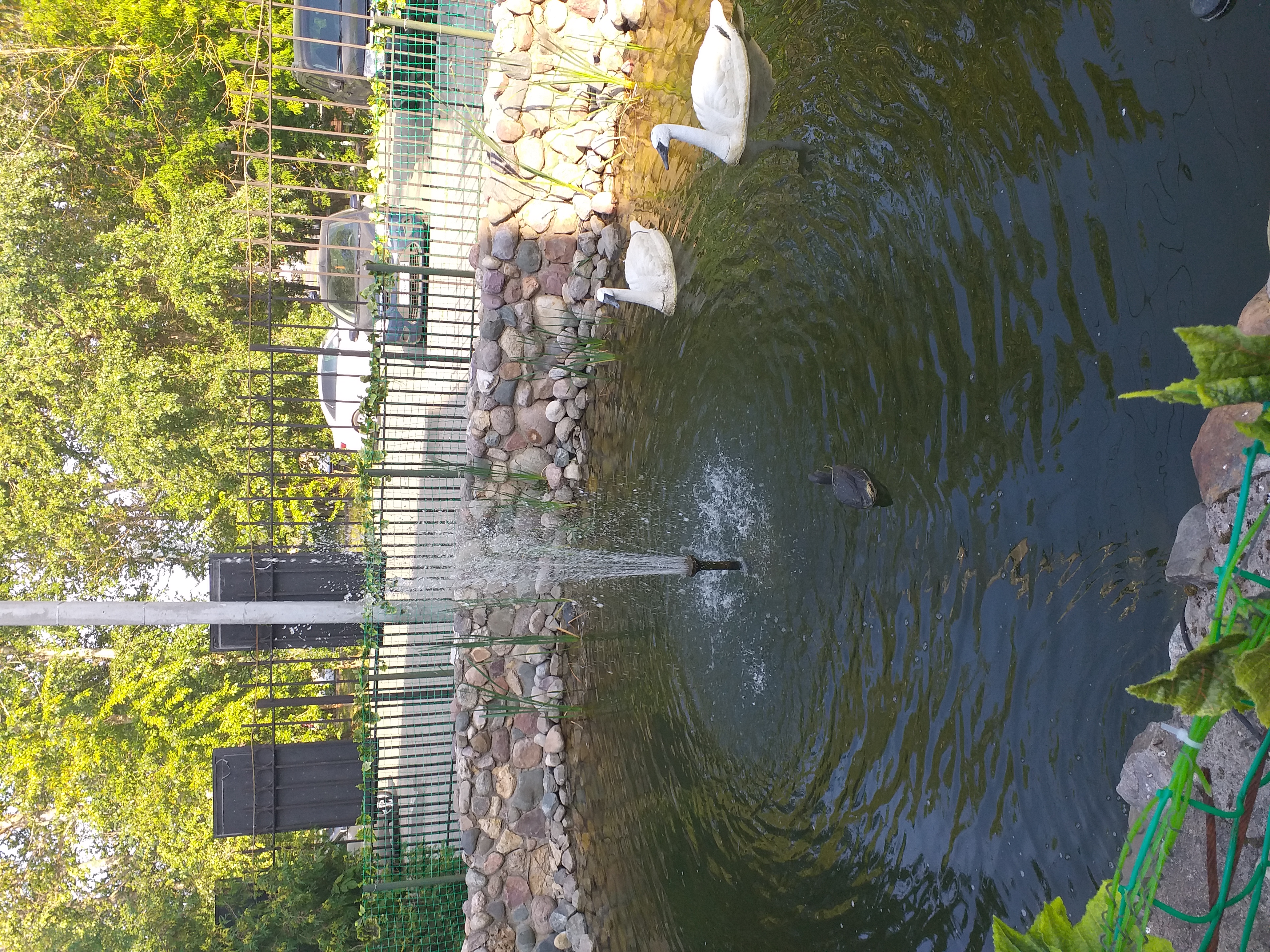 Фото Центр досуга и отдыха Оскар