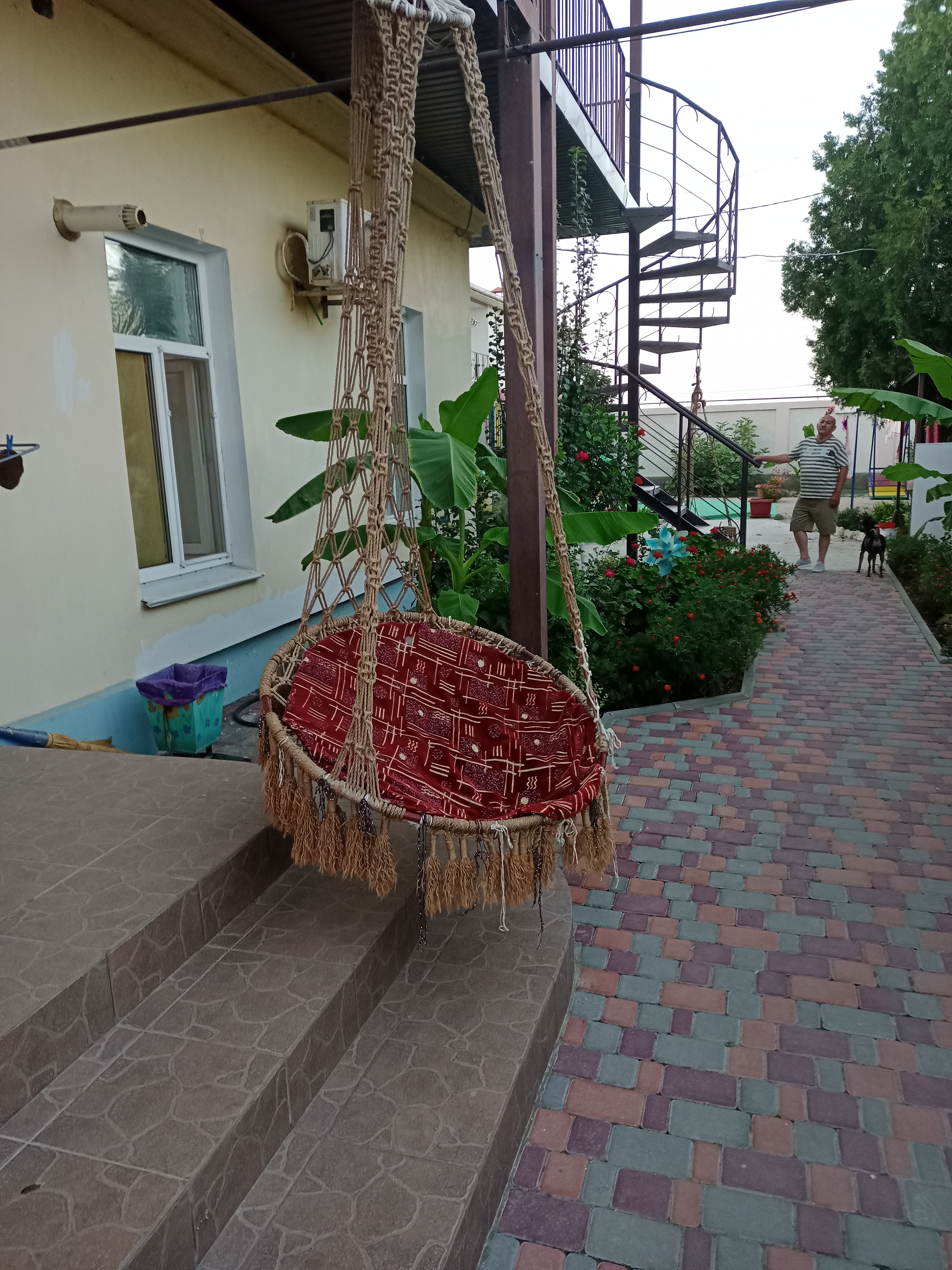 Фото Зарафшан