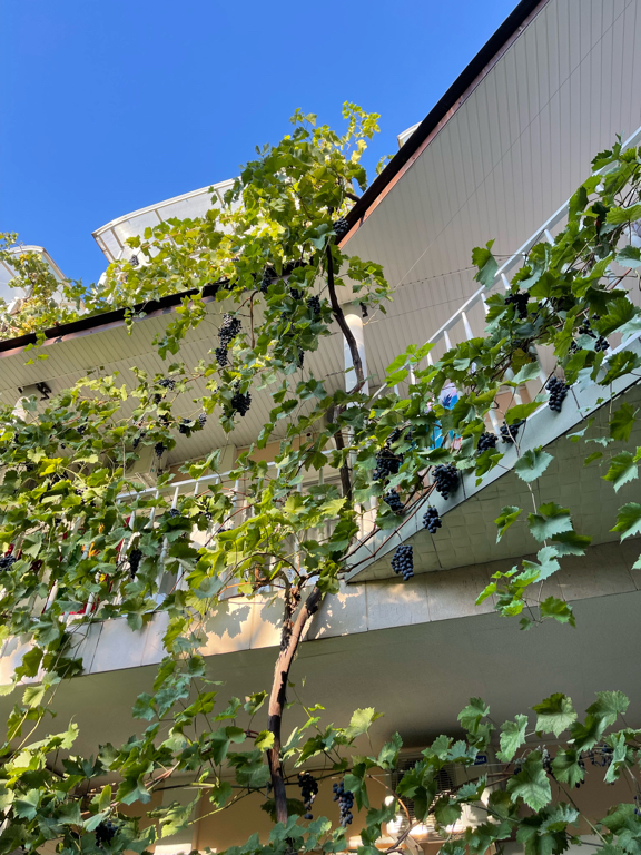 Фото Гостевой дом на Украинской