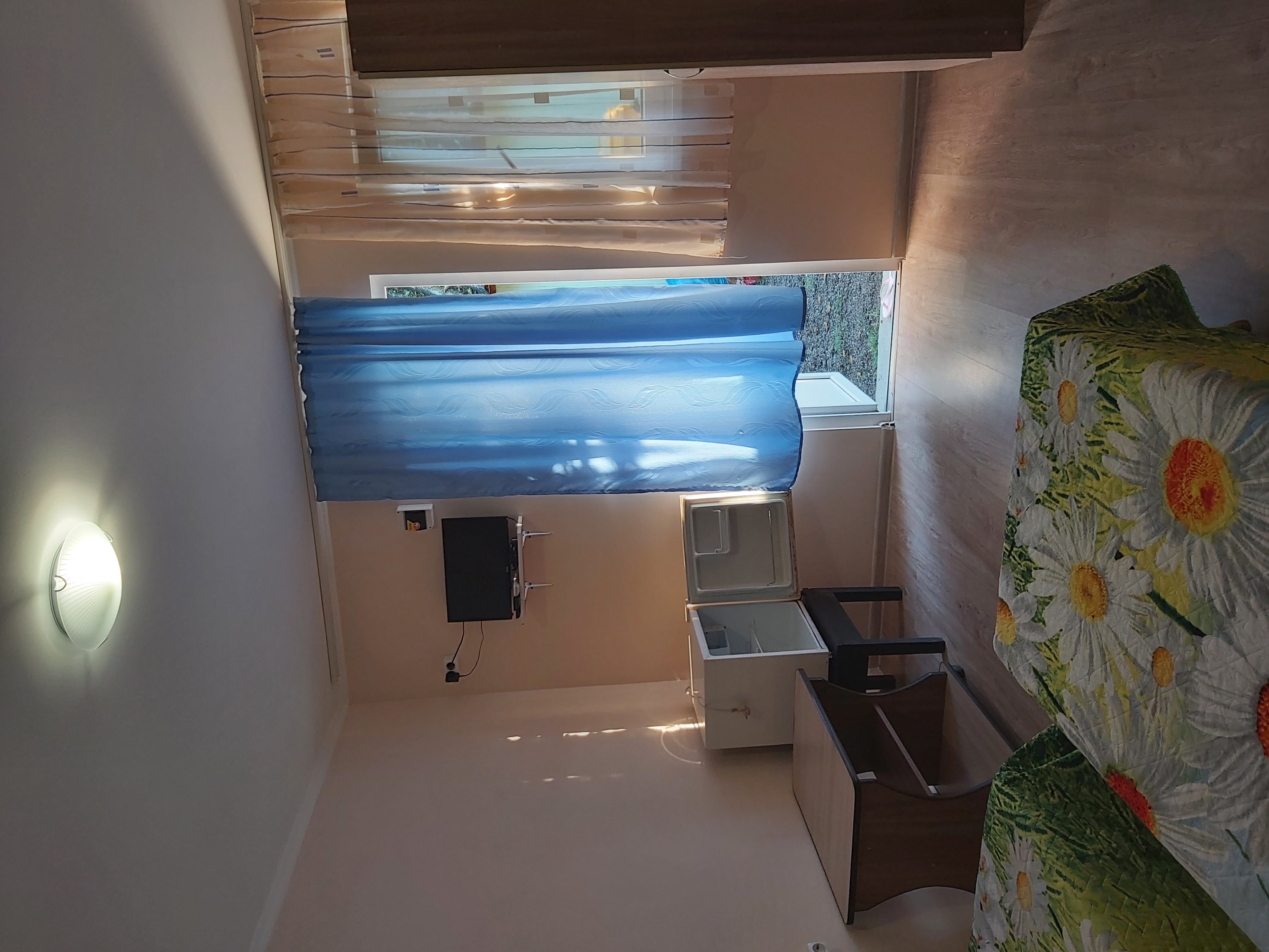 Фото Дружба