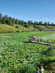 Смотровая площадка (Belgorod Region, Yakovlevskiy munitsipalny okrug, Stroitel) ، مكتب مراقبة