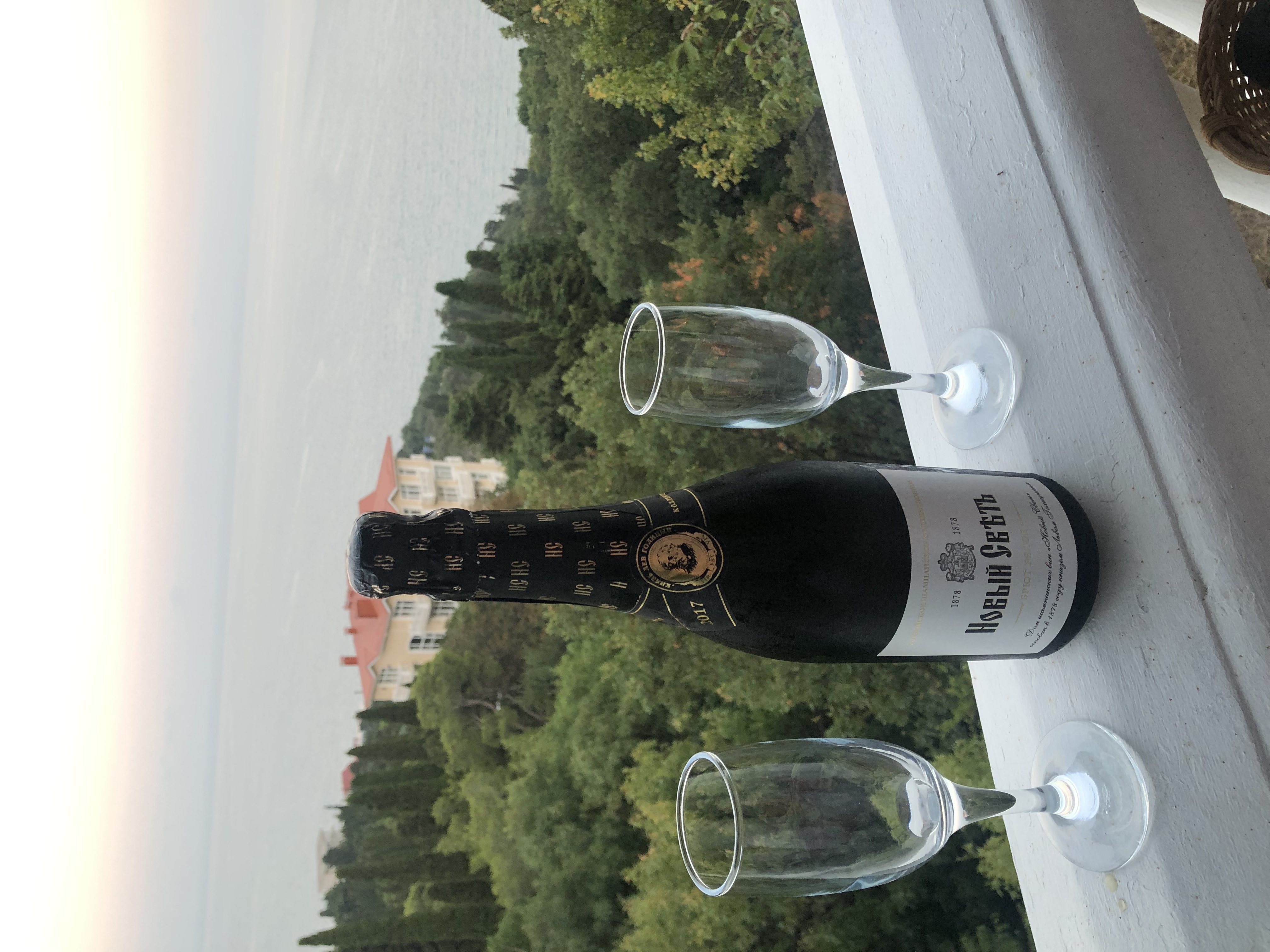 Фото Форест