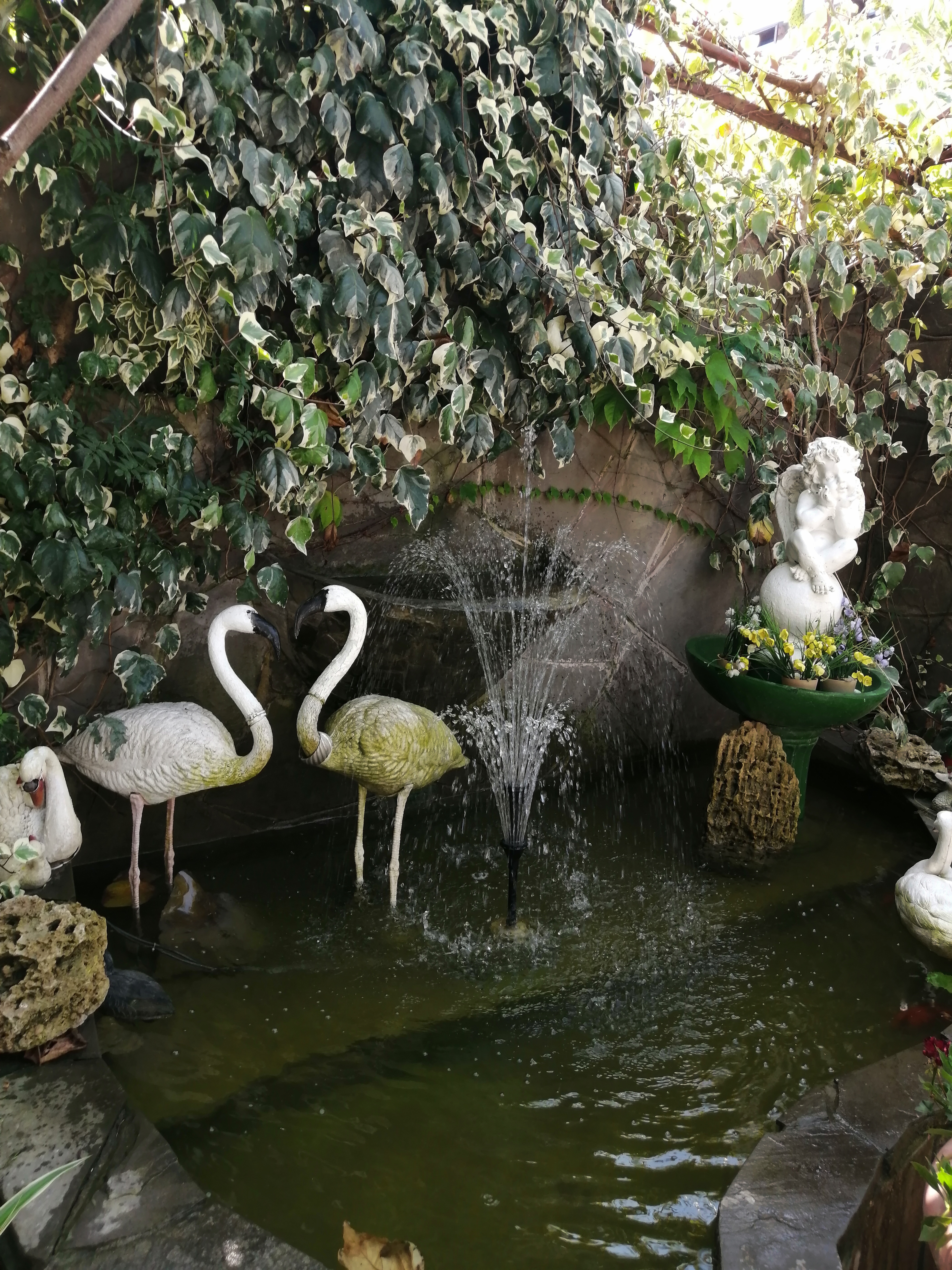 Фото Гостевой дом Гавань-Адлер