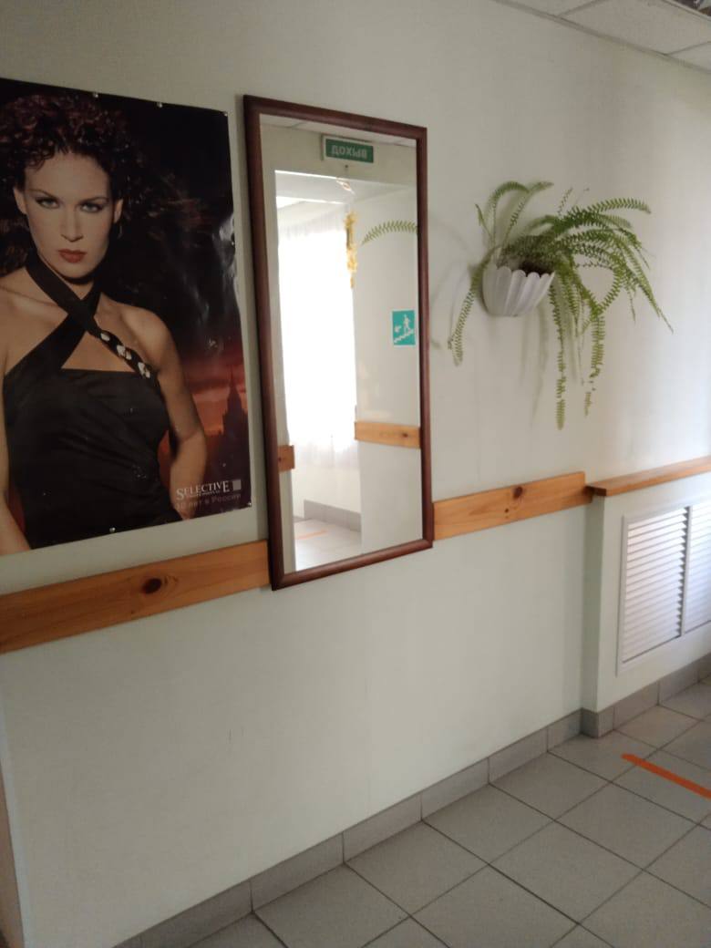 Фото Лесная