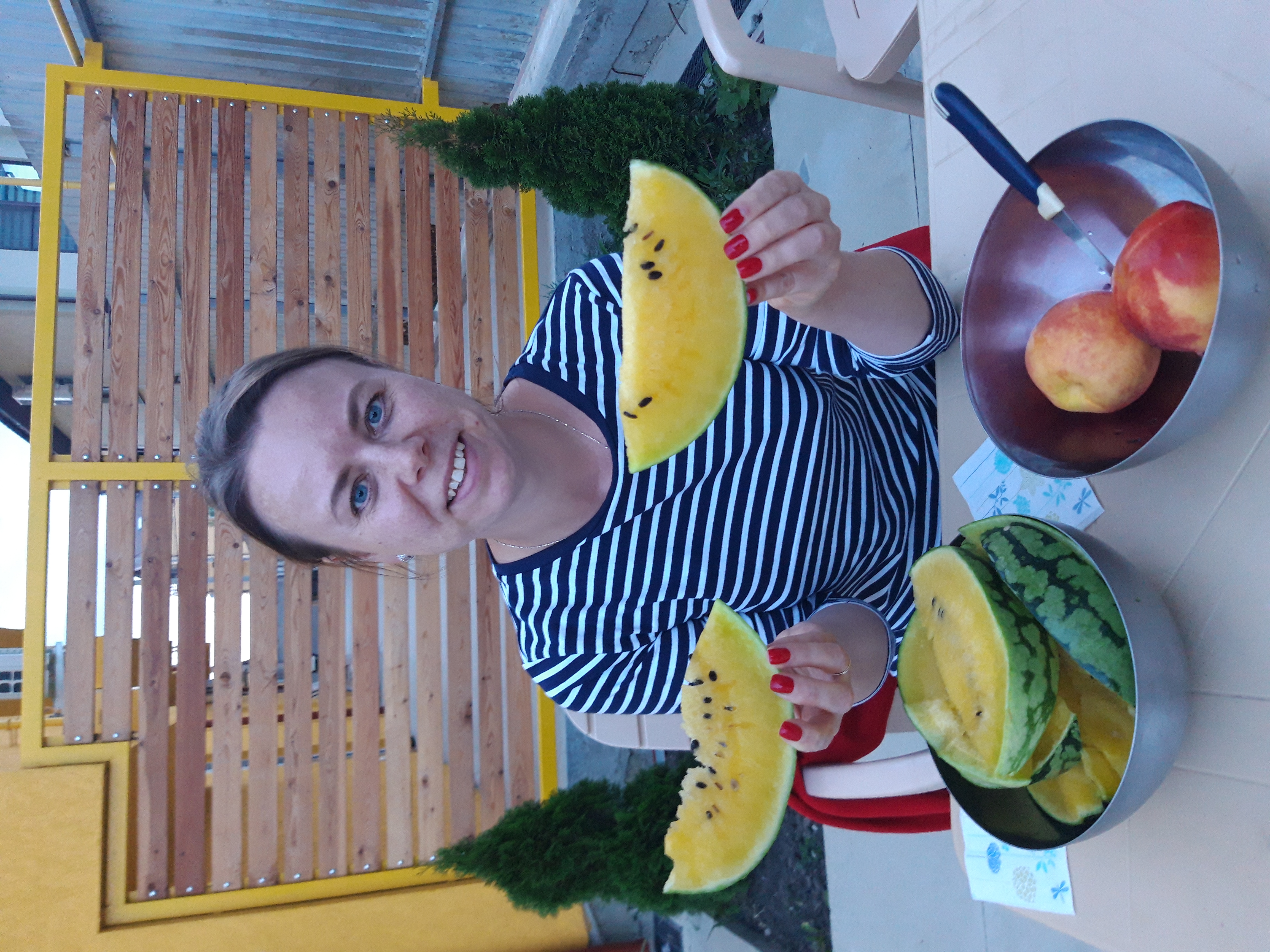 Фото Конкур