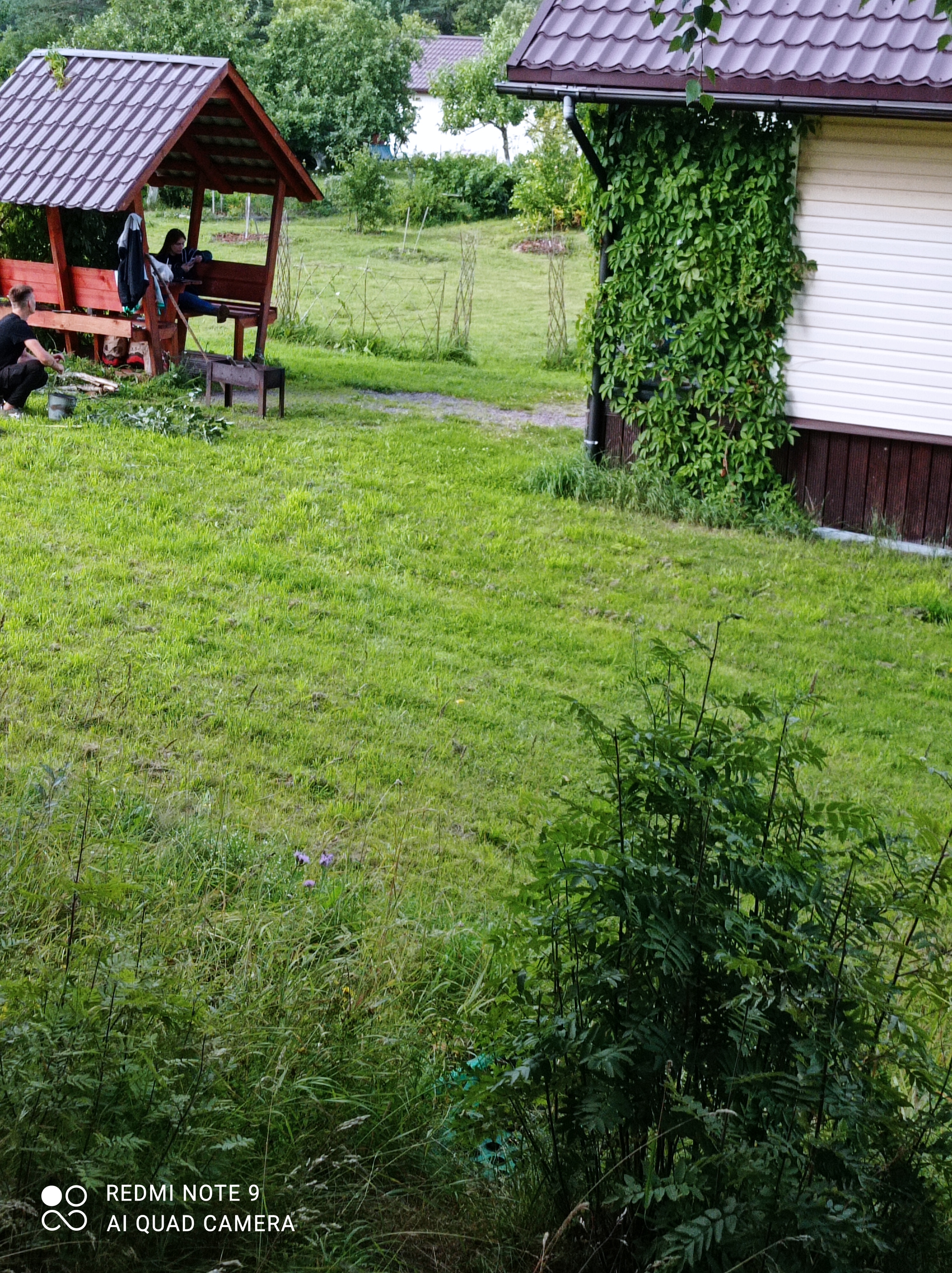 Фото Остров Мейери