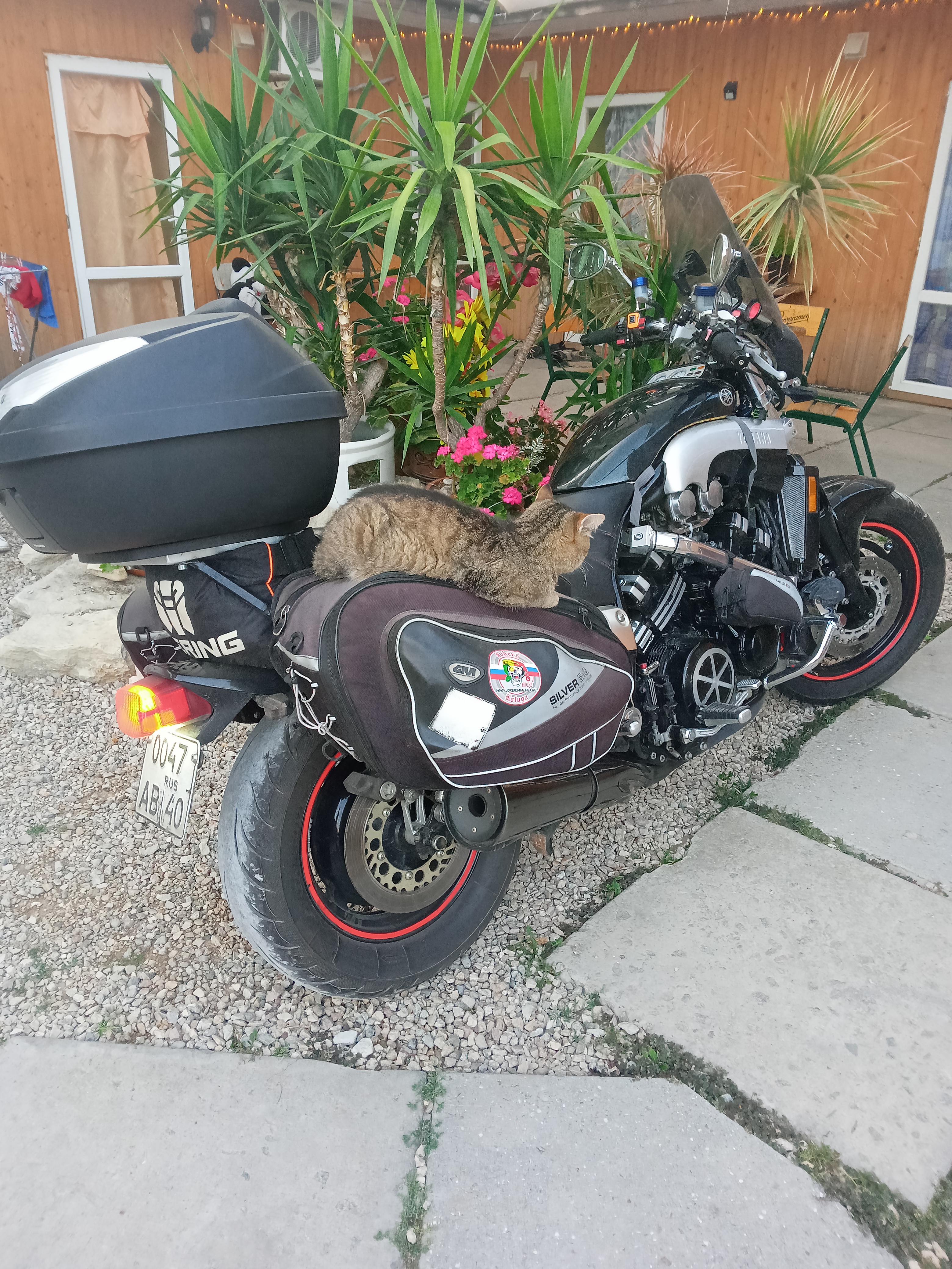 Фото Аннушка