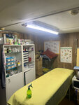 Vetklinika doktora Shilova (Khabarovskaya Street, 7/50) ، عيادة بيطرية