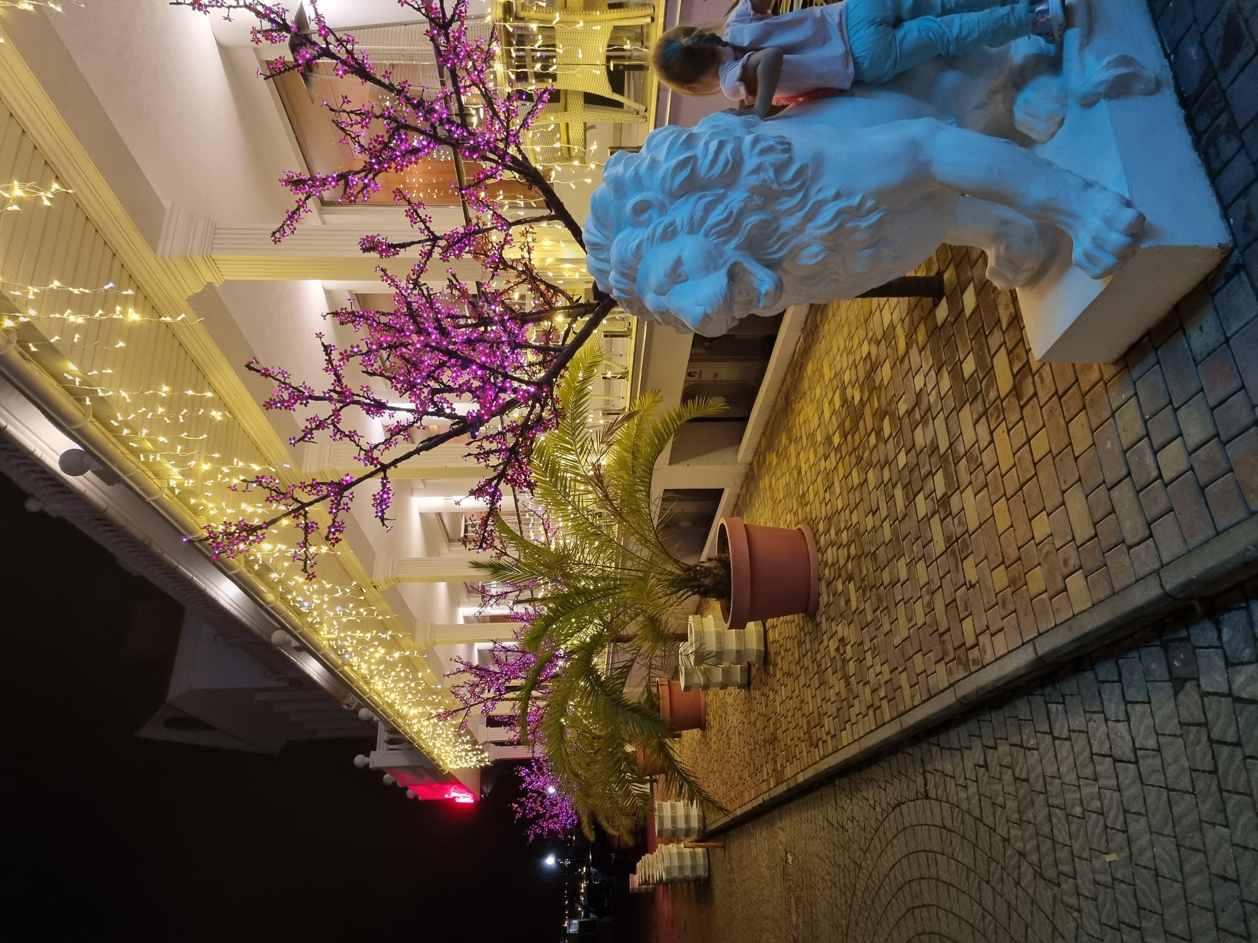 Фото Комплекс Хрустальный Resort & SPA