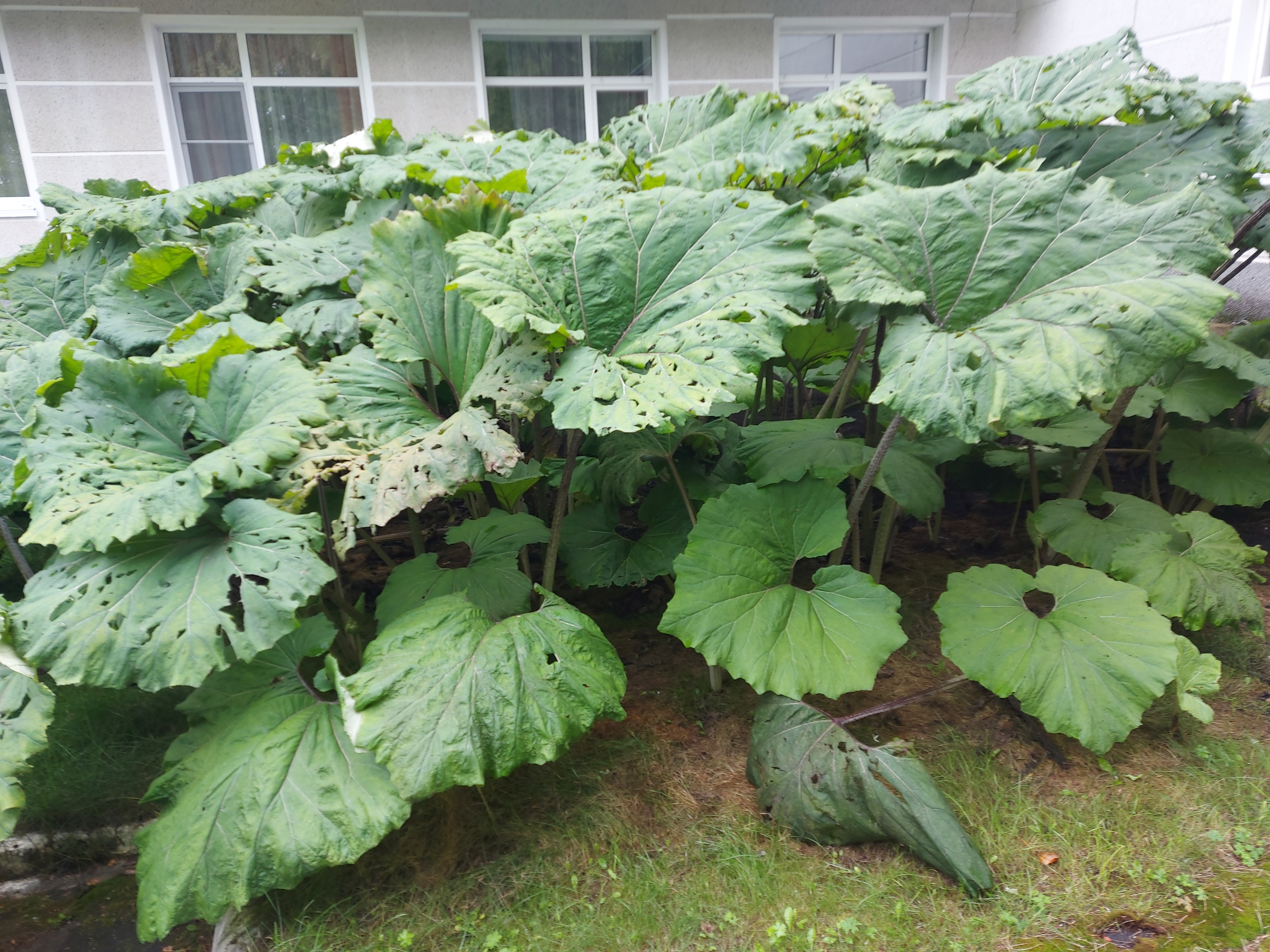 Фото Бодрость