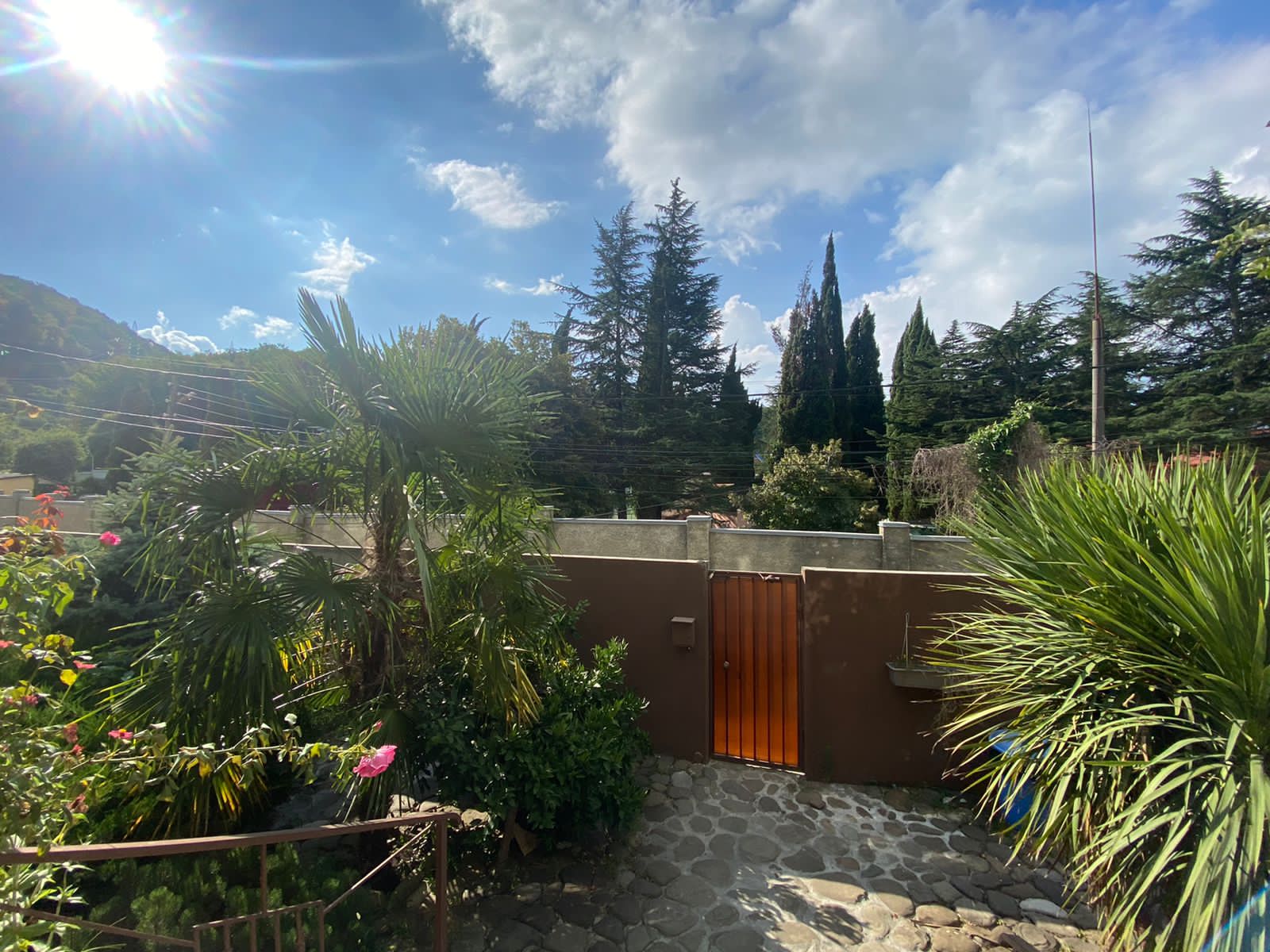 Фото Виктория