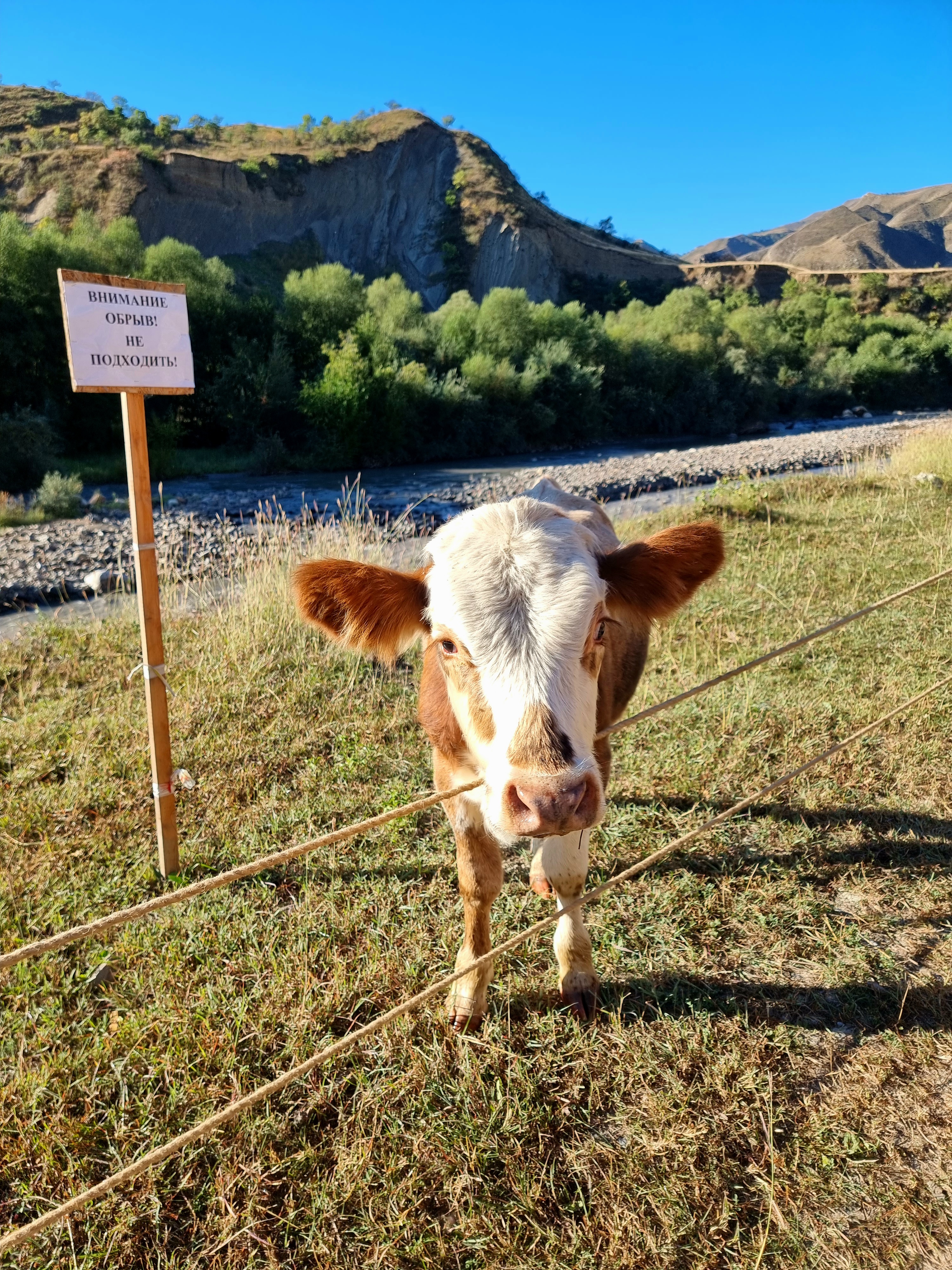 Фото Горный Ветер