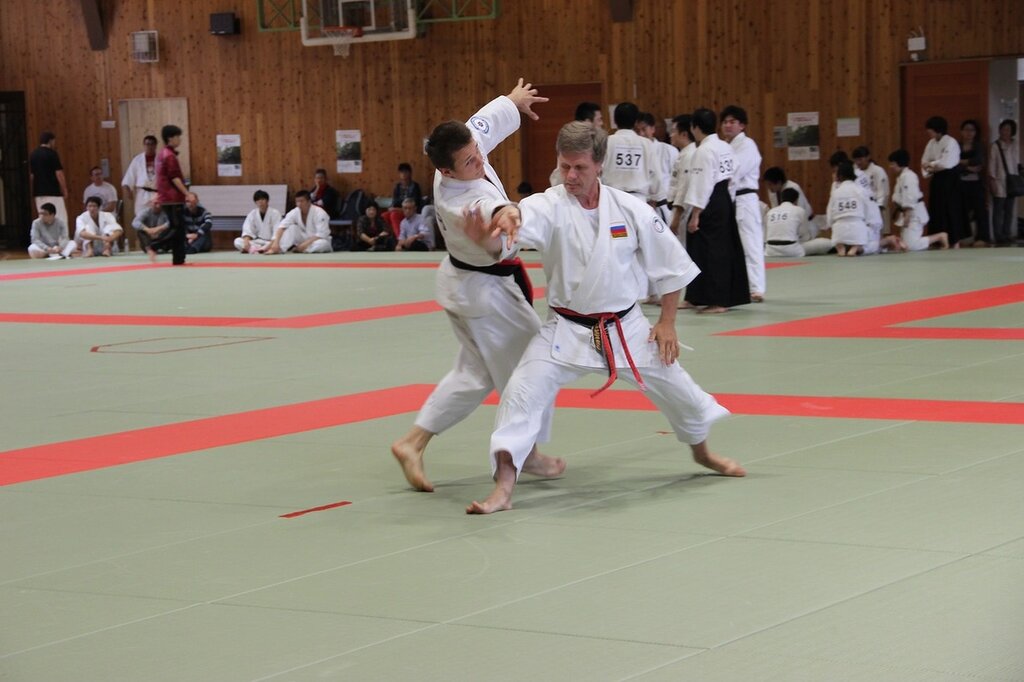 Club deportivo, sección Moskovsky klub Tomiki Aykido Kadze No Ryu, , foto