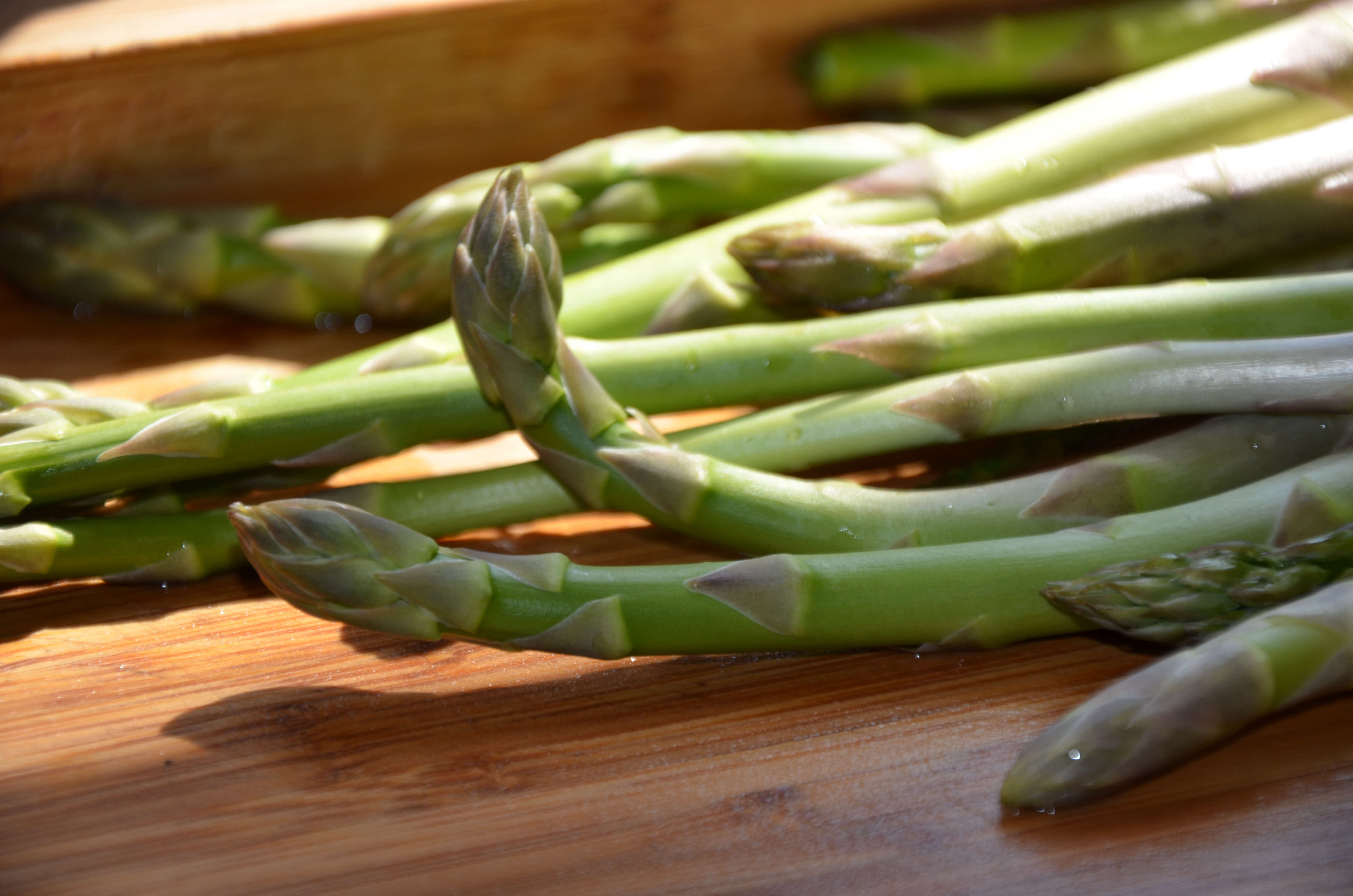 Фото Живое Окунево