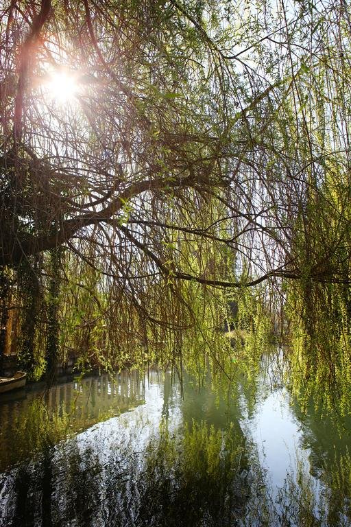 Фото Newbury Manor Hotel