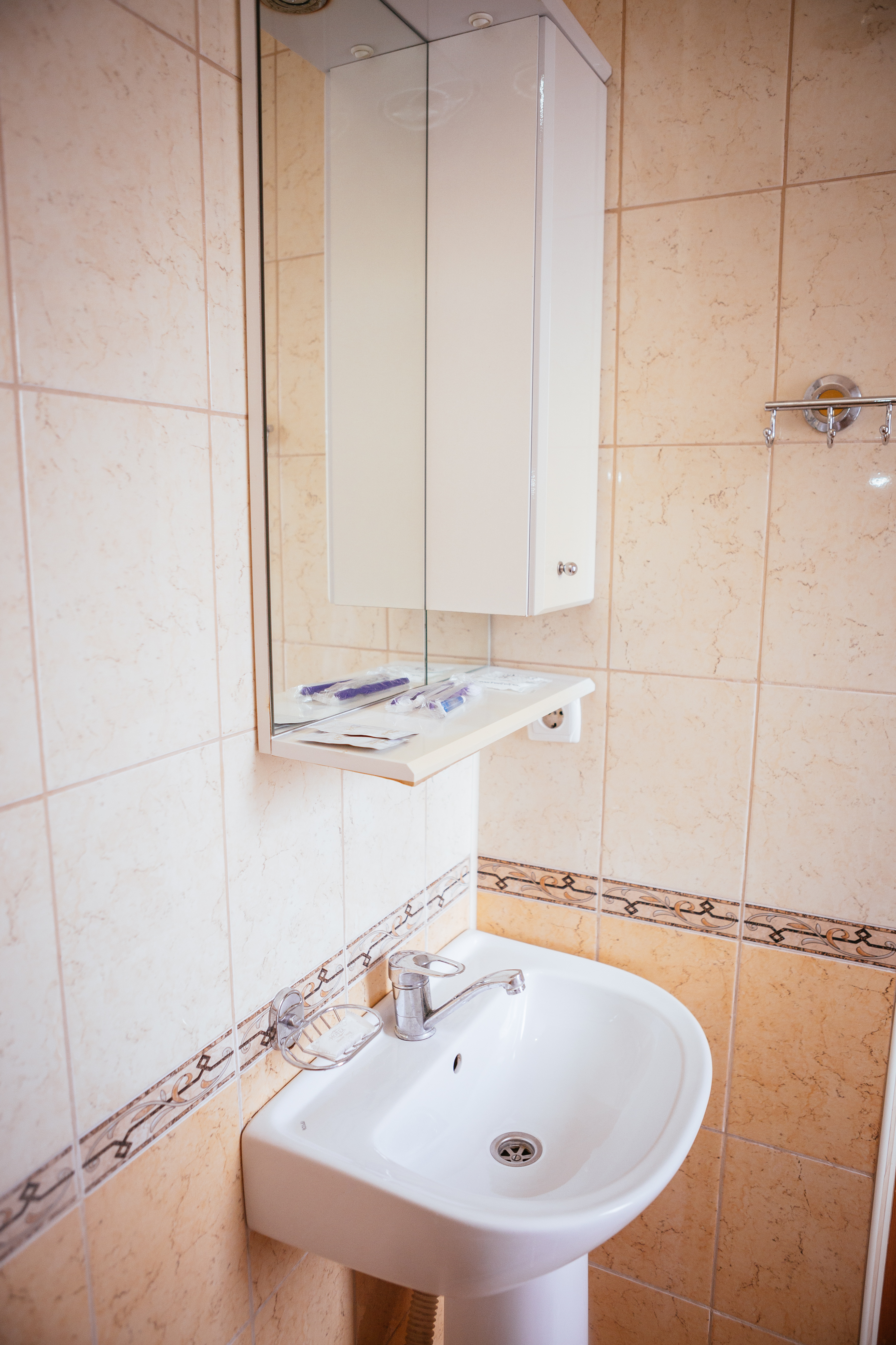 Фото Каштан