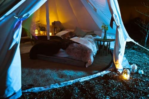 Hotel Plush Tents Glamping, England, photo