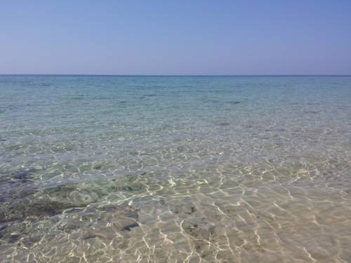 Фото Hotel Le Voilier