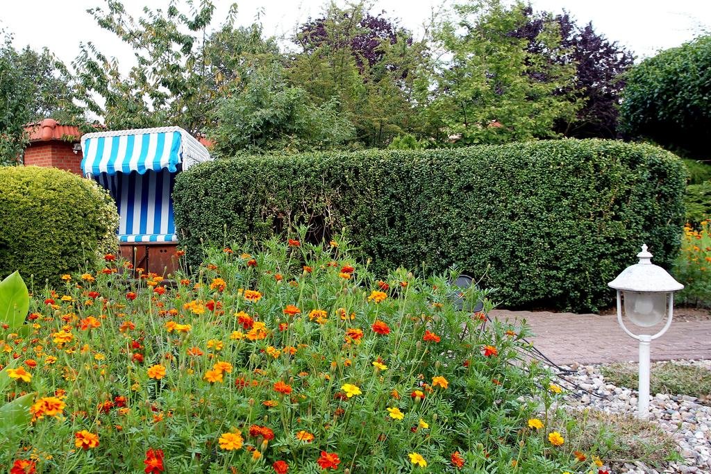 Фото Hotel Wittorf