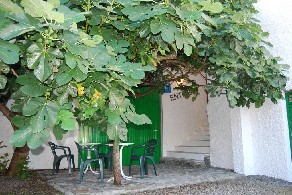 Фото Hotel Monte y Mar