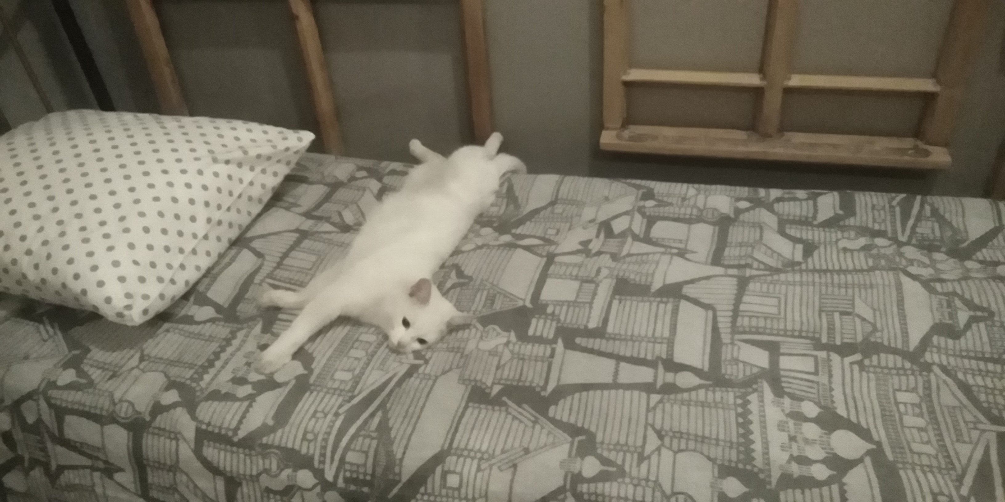 Фото Сольвычегодская усадьба