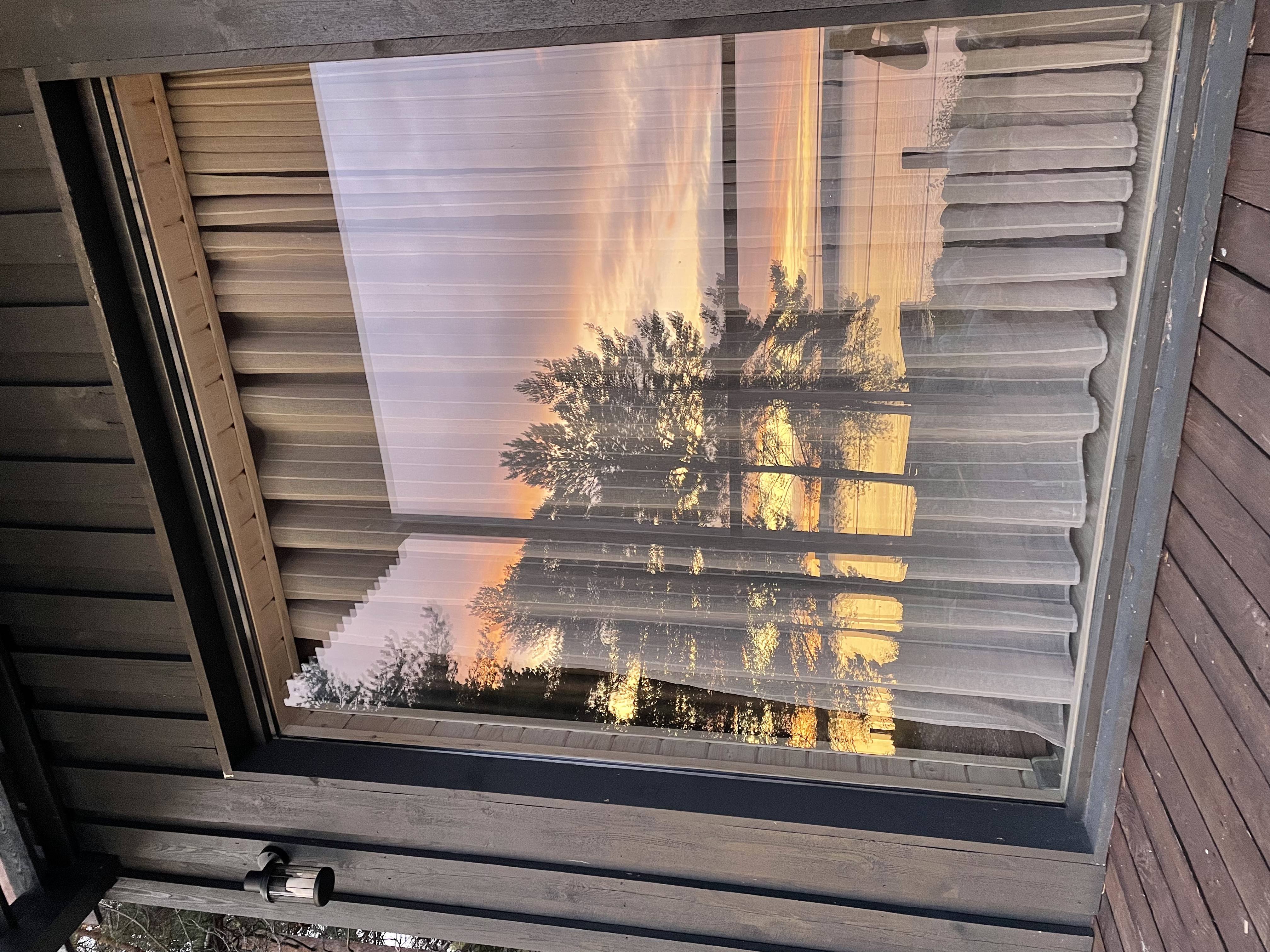 Фото Талео Хоум