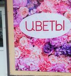 Цветы (ulitsa Lenina, 26), floristeria