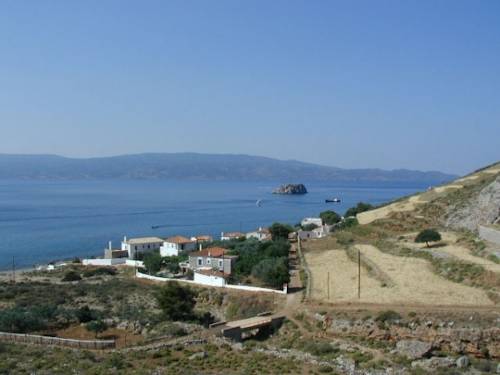 Фото Hydra Erato