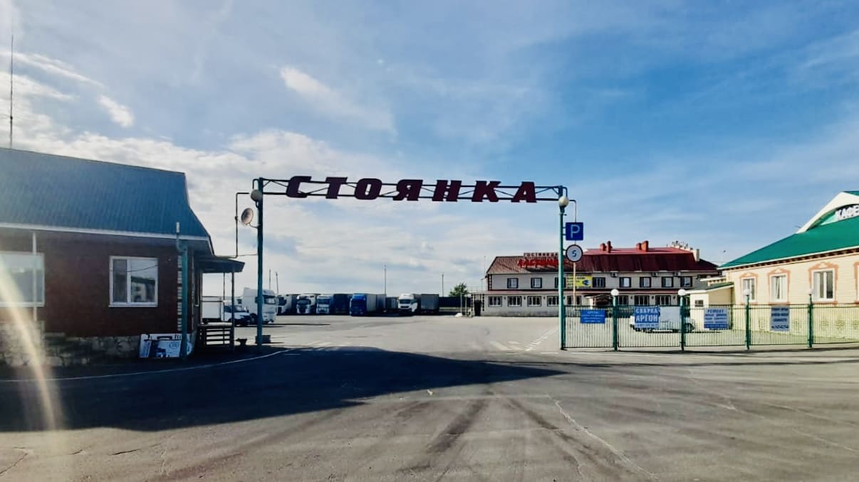 Фото Ласточка